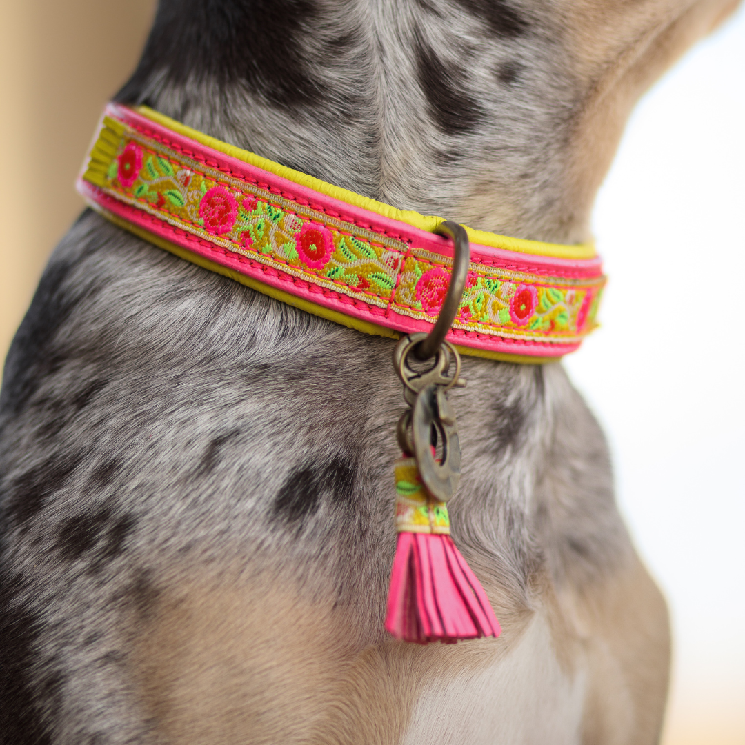 Lotus Hundehalsband L (Halsumfang 38-47 cm / 2,5 cm)