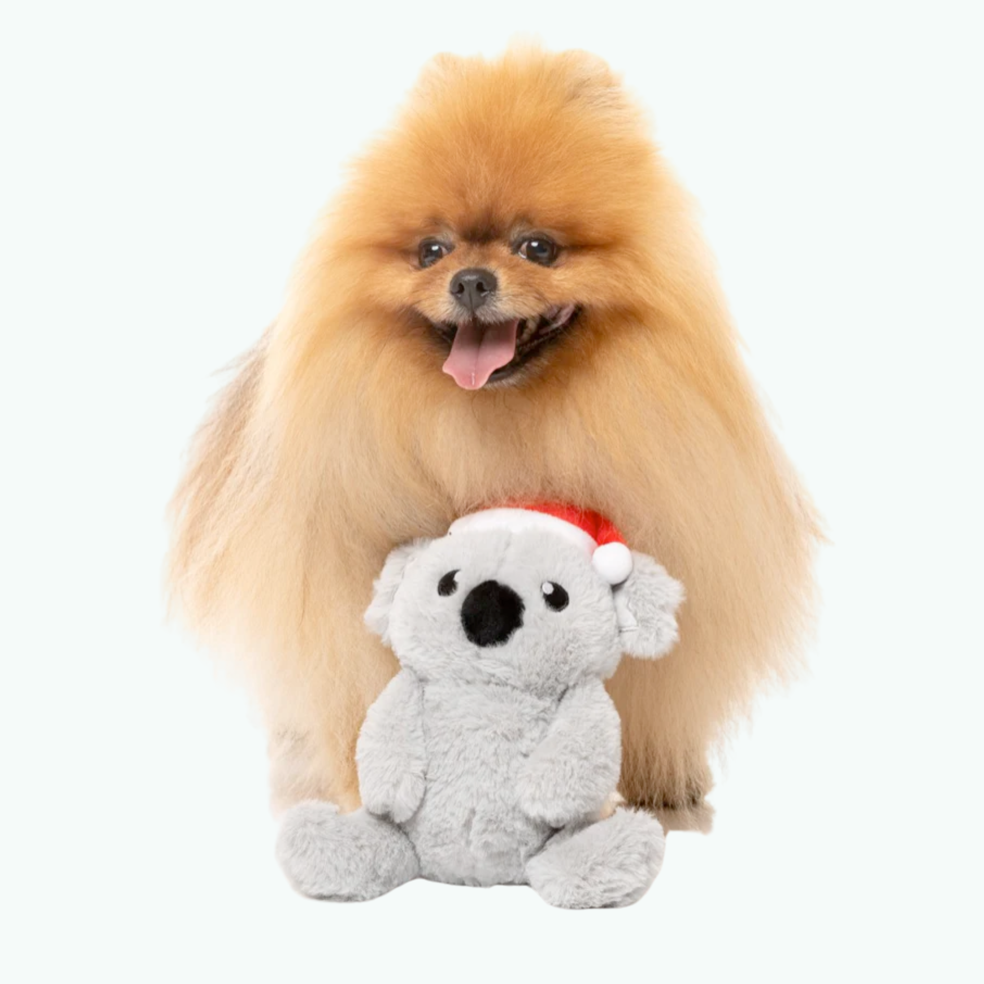 Dog Toy - Coco Koala