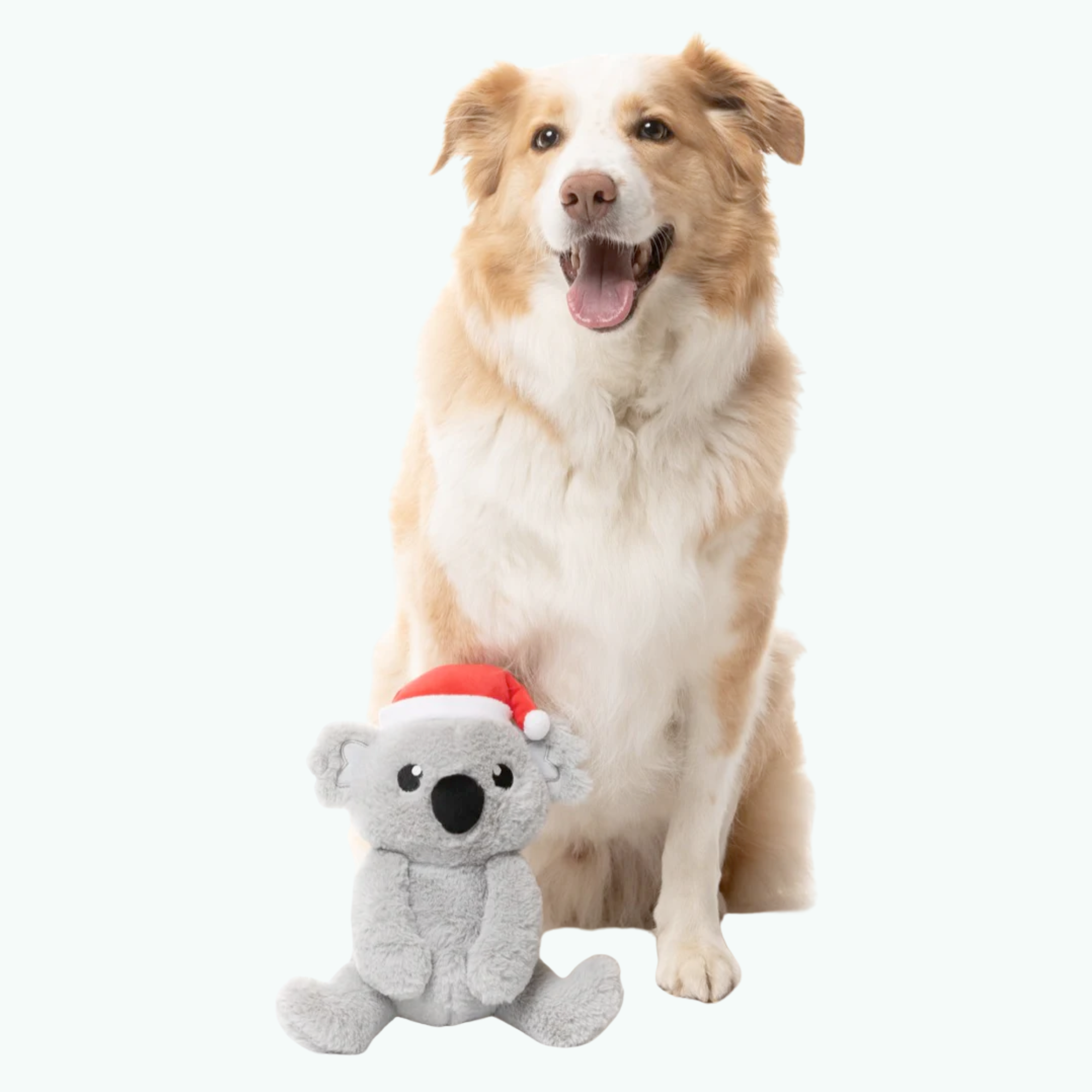 Dog Toy - Coco Koala