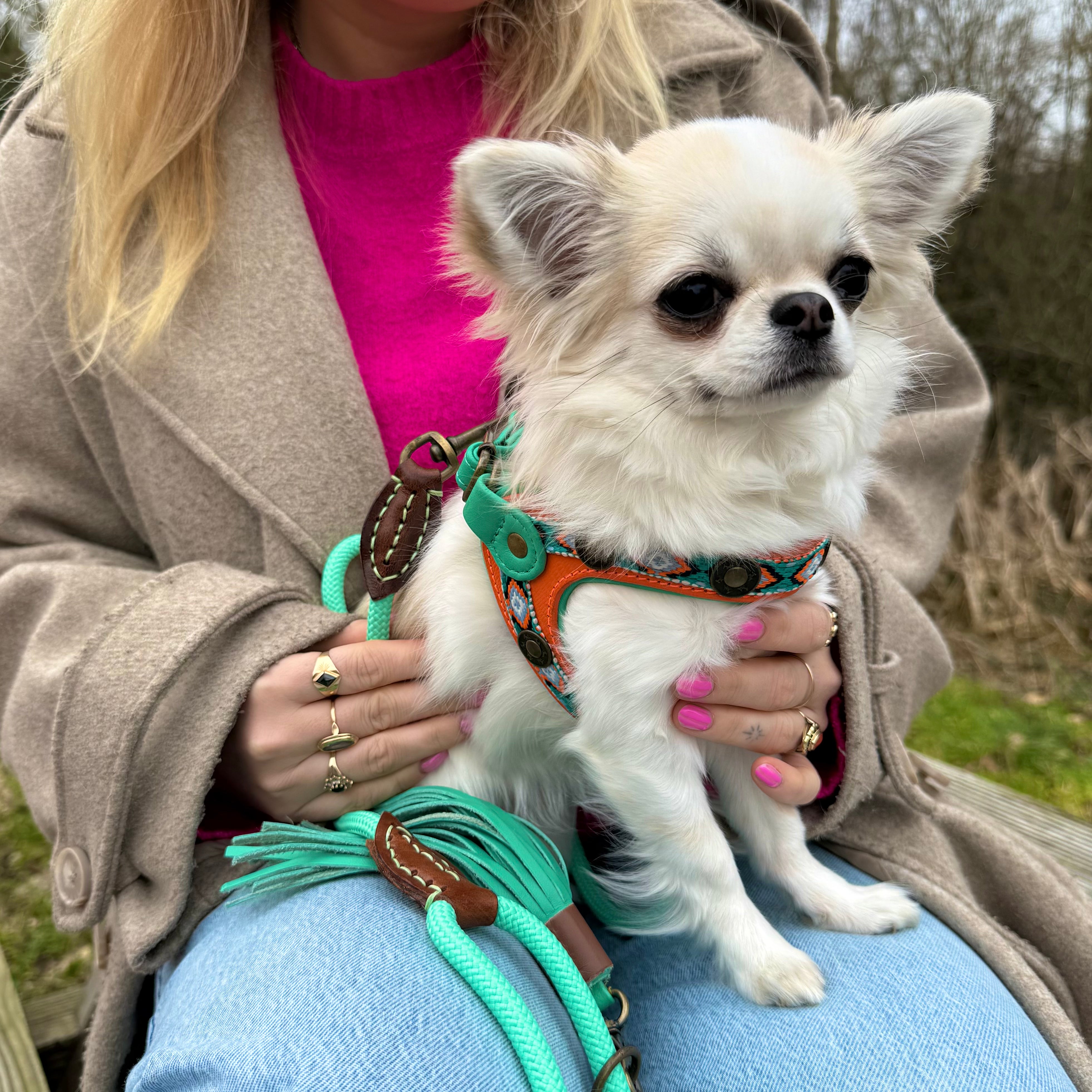 Morgan Hundegeschirr Größe 3 (32-37 cm)