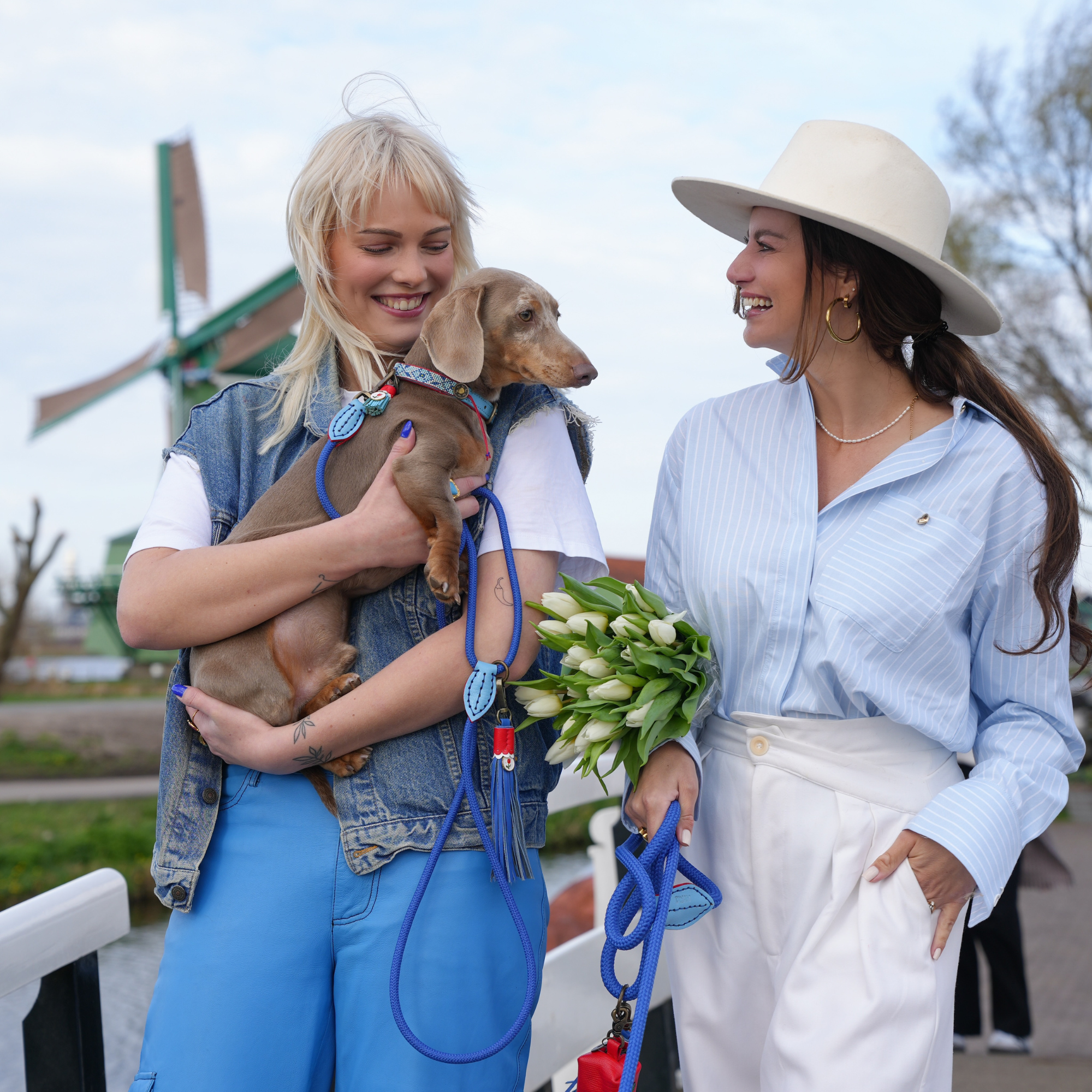 Dutchie Hundeleine S (165 cm X 1 cm) 