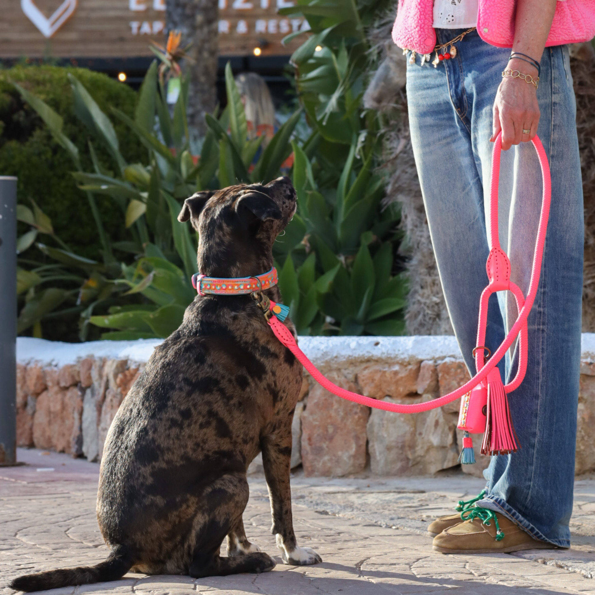 Classic Flamingo Dog Leash L (155 X 1,4 cm)