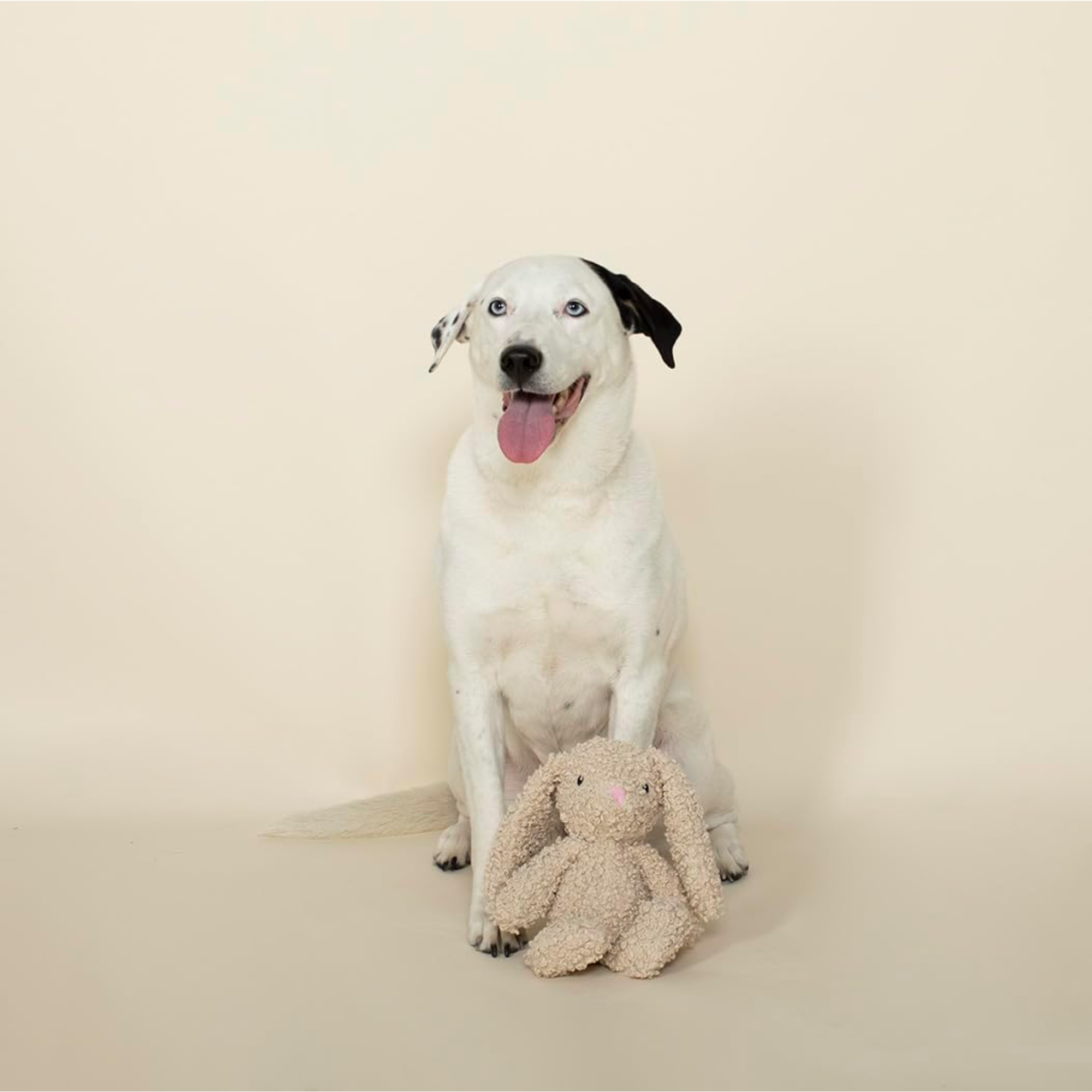 Fringe Pluche konijn