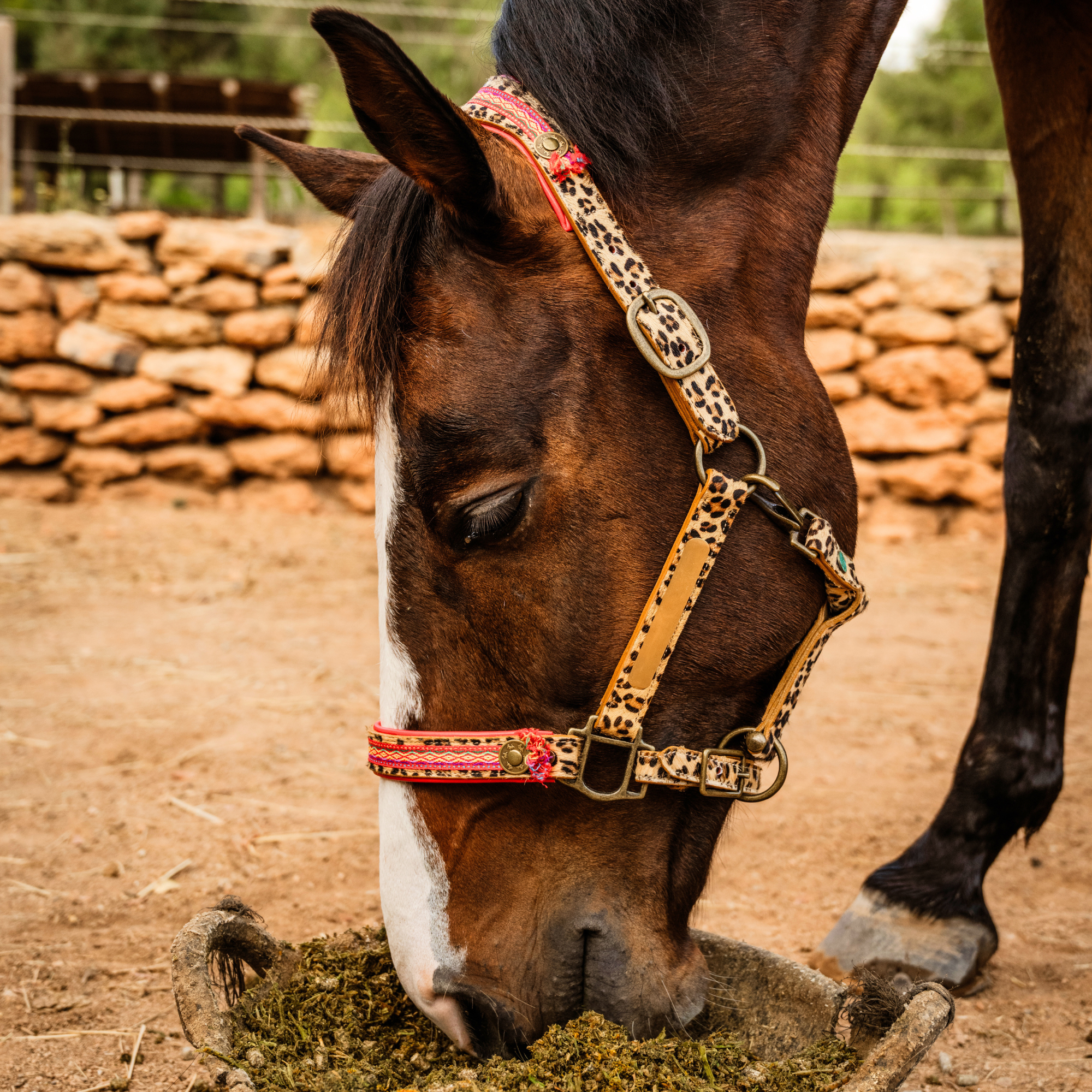 Gypsy Paardenhalster - Cob