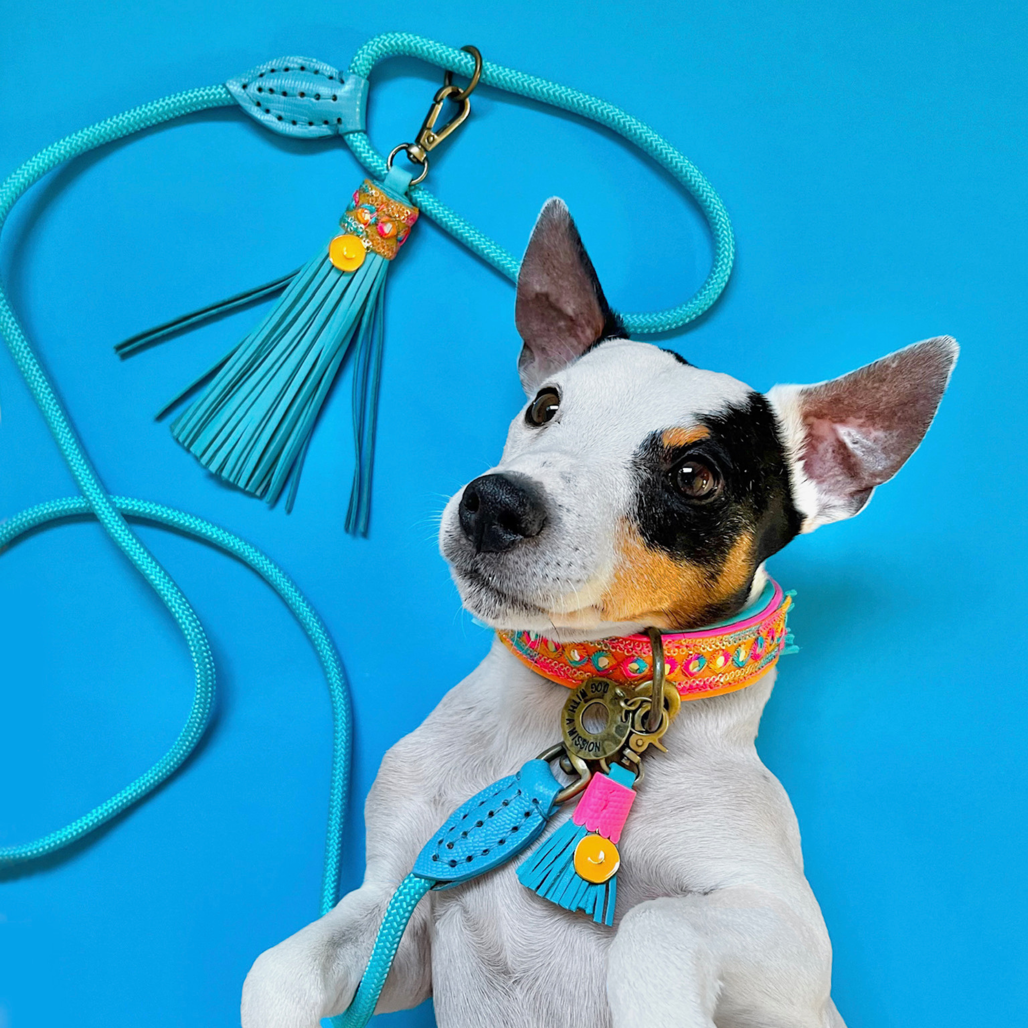 Lichtblauwe leren hondenriem Pacific met kwast bij klein hondje met kleurrijke hondenhalsband Indian Summer van Dog with a Mission