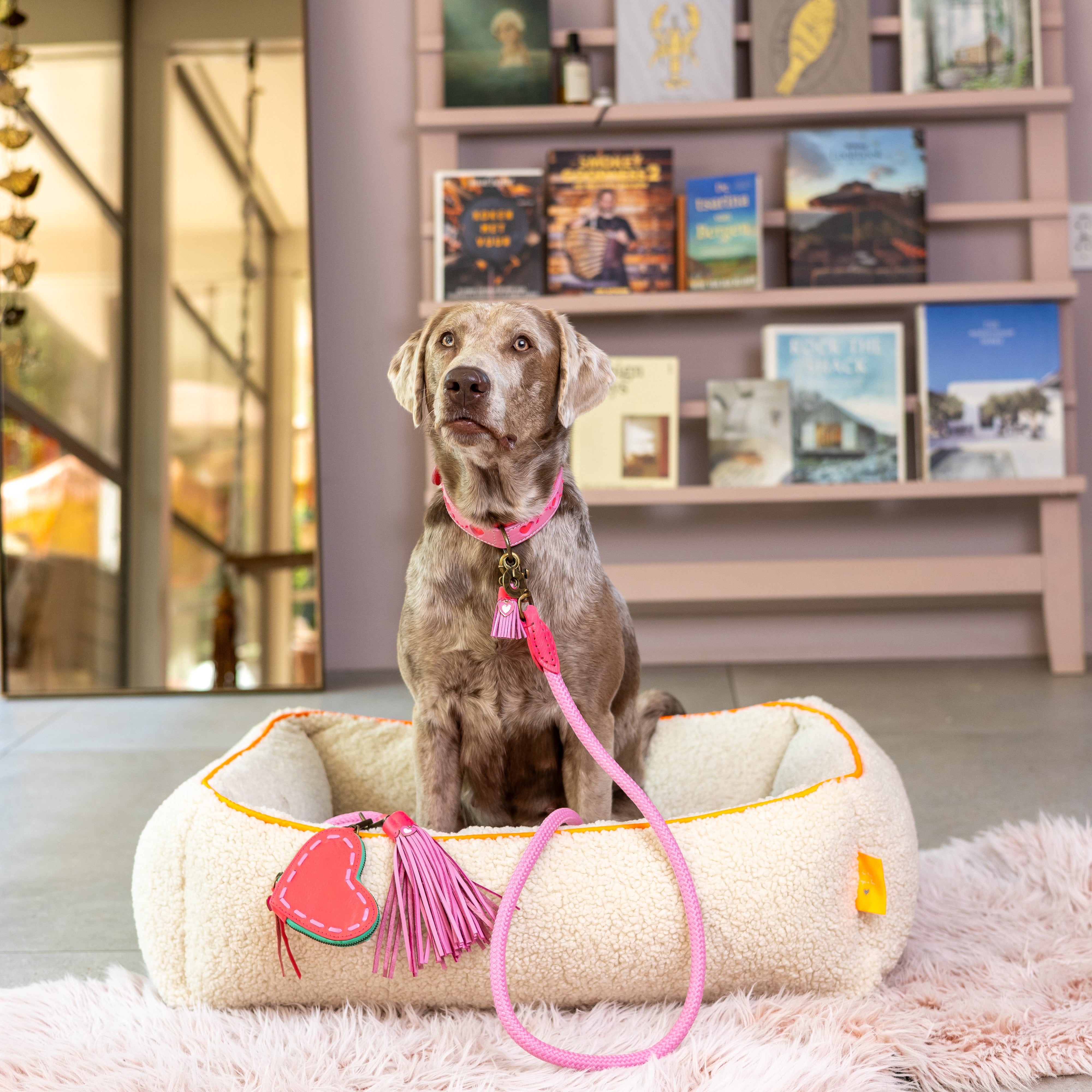  Sweety Hundehalsband XXL (Halsumfang 58-65 cm / 4 cm)