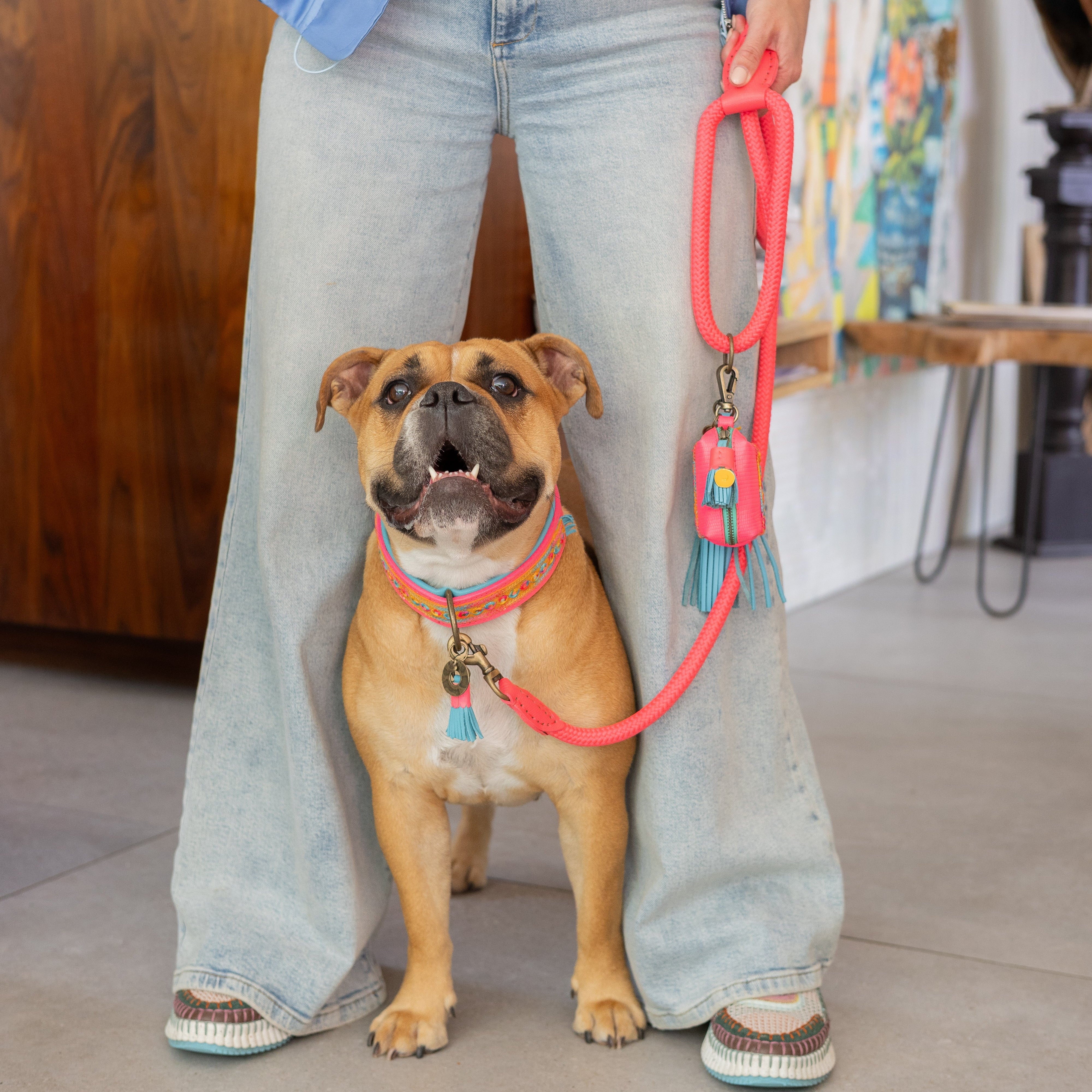 Indian Summer Hundehalsband M (Halsumfang 34-39 cm / 2,5 cm)