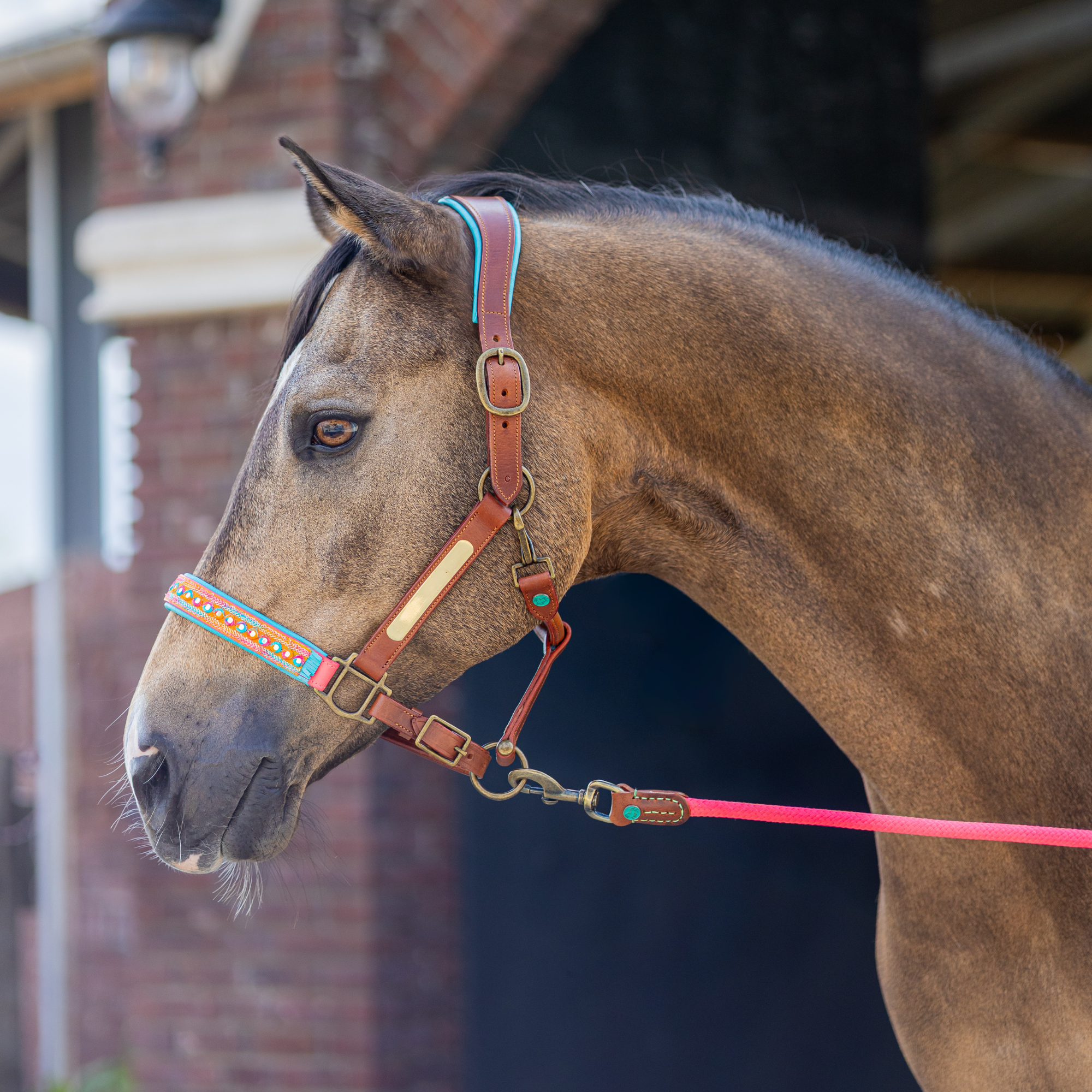 Indian Summer Paardenhalster - Cob