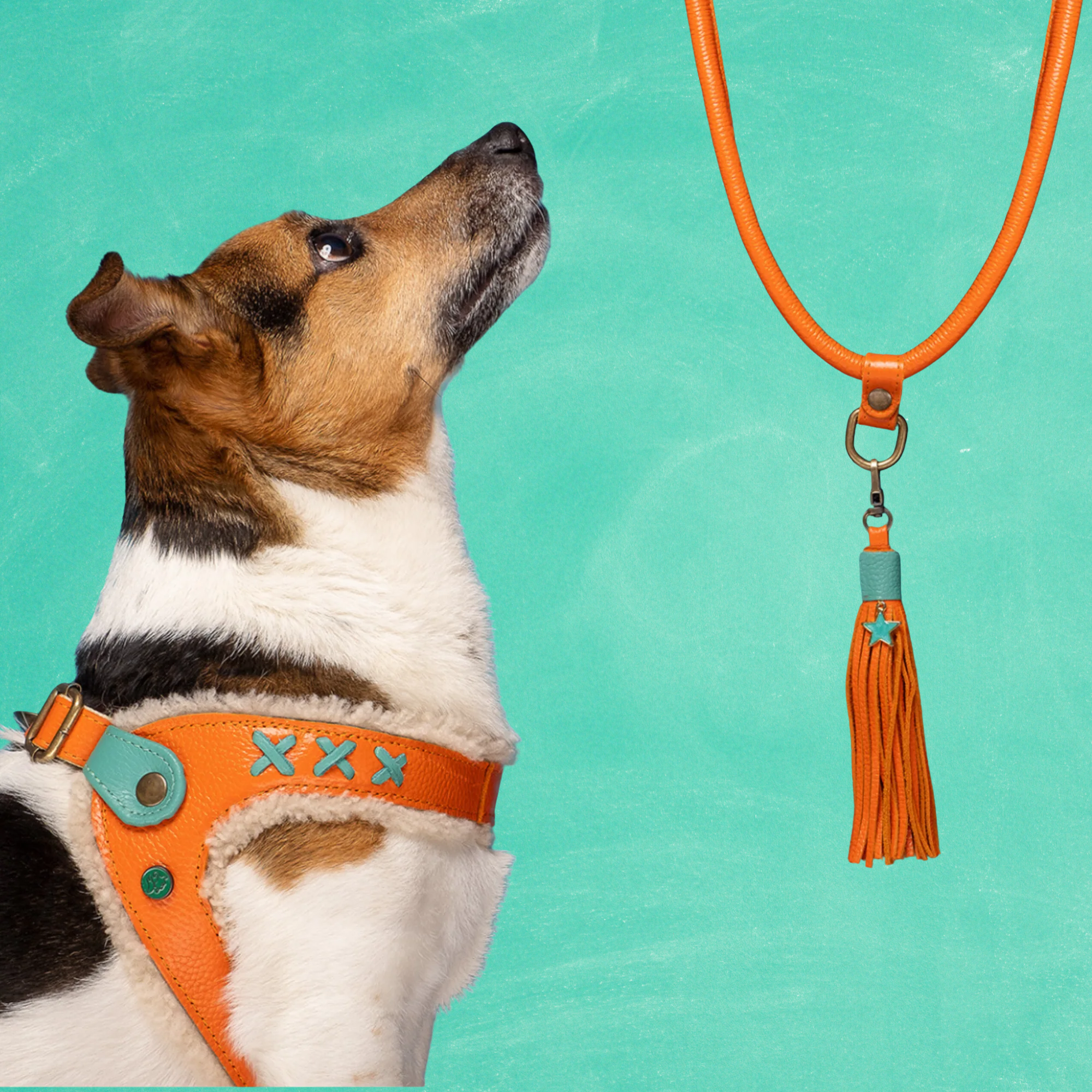 Jottum Orange Hundegeschirr Größe  6 (45-50 cm)