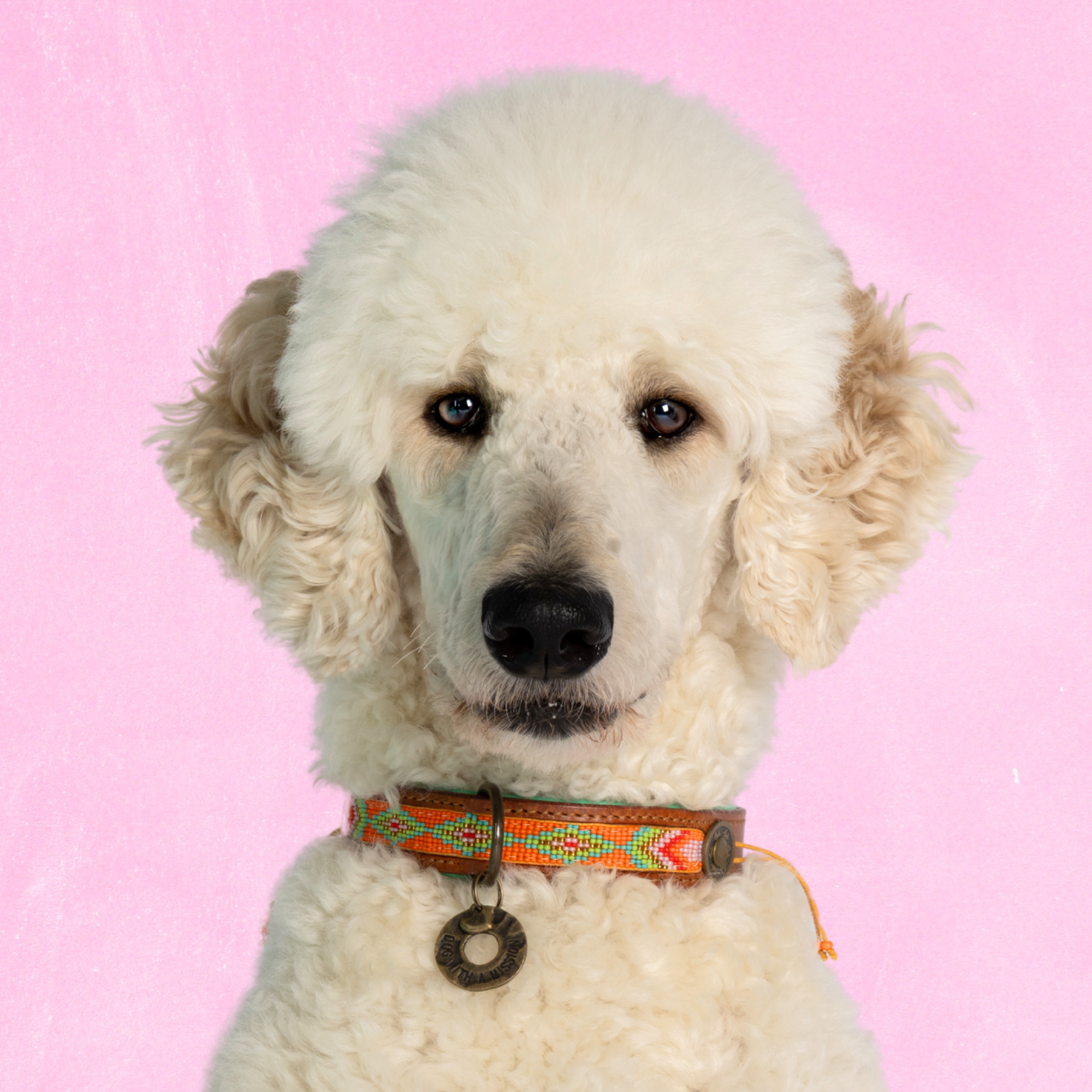 Leren hondenhalsband in oranje kralen en medaillon van Dog with a Mission