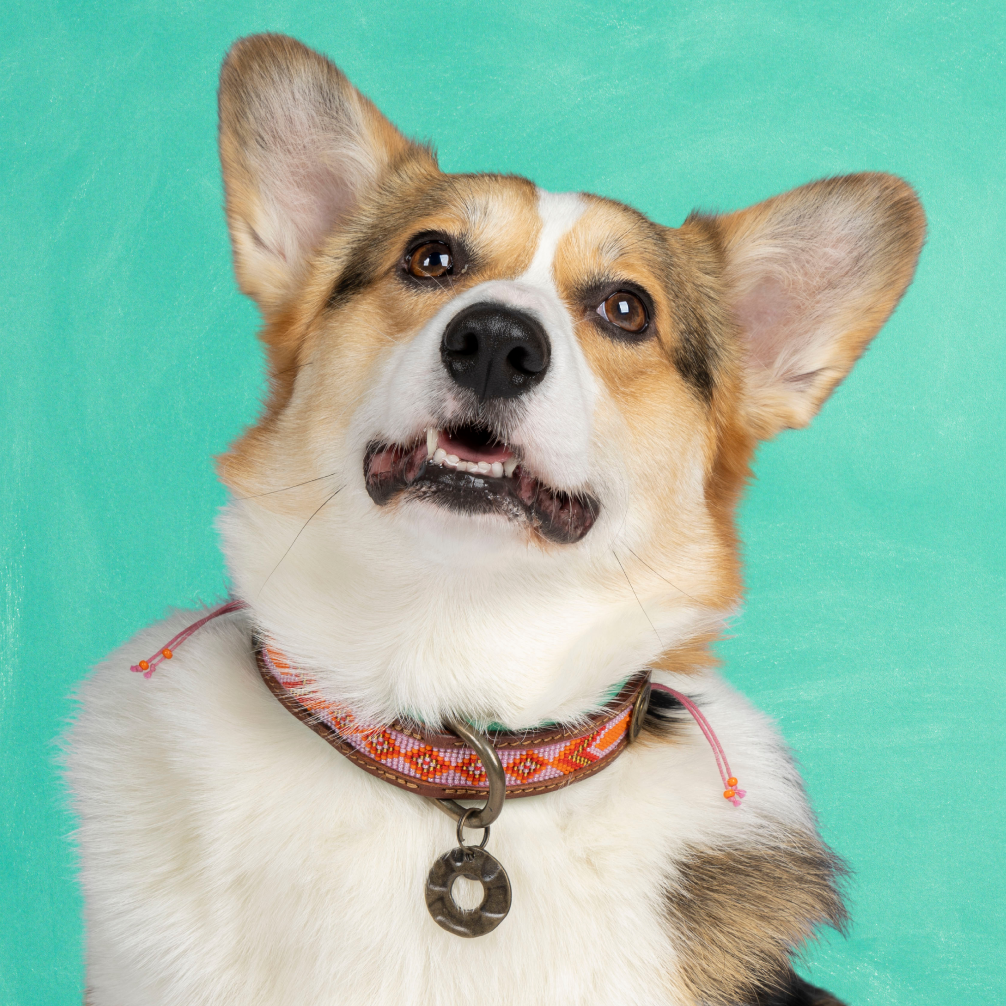 Leren hondenhalsband in roze met oranje details en hanger van Dog with a Mission