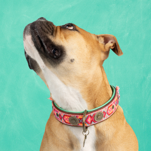 Boho Rosa hondenhalsband L Dog with a Mission - roze bohemian print bruin buffelleer voor grote honden

