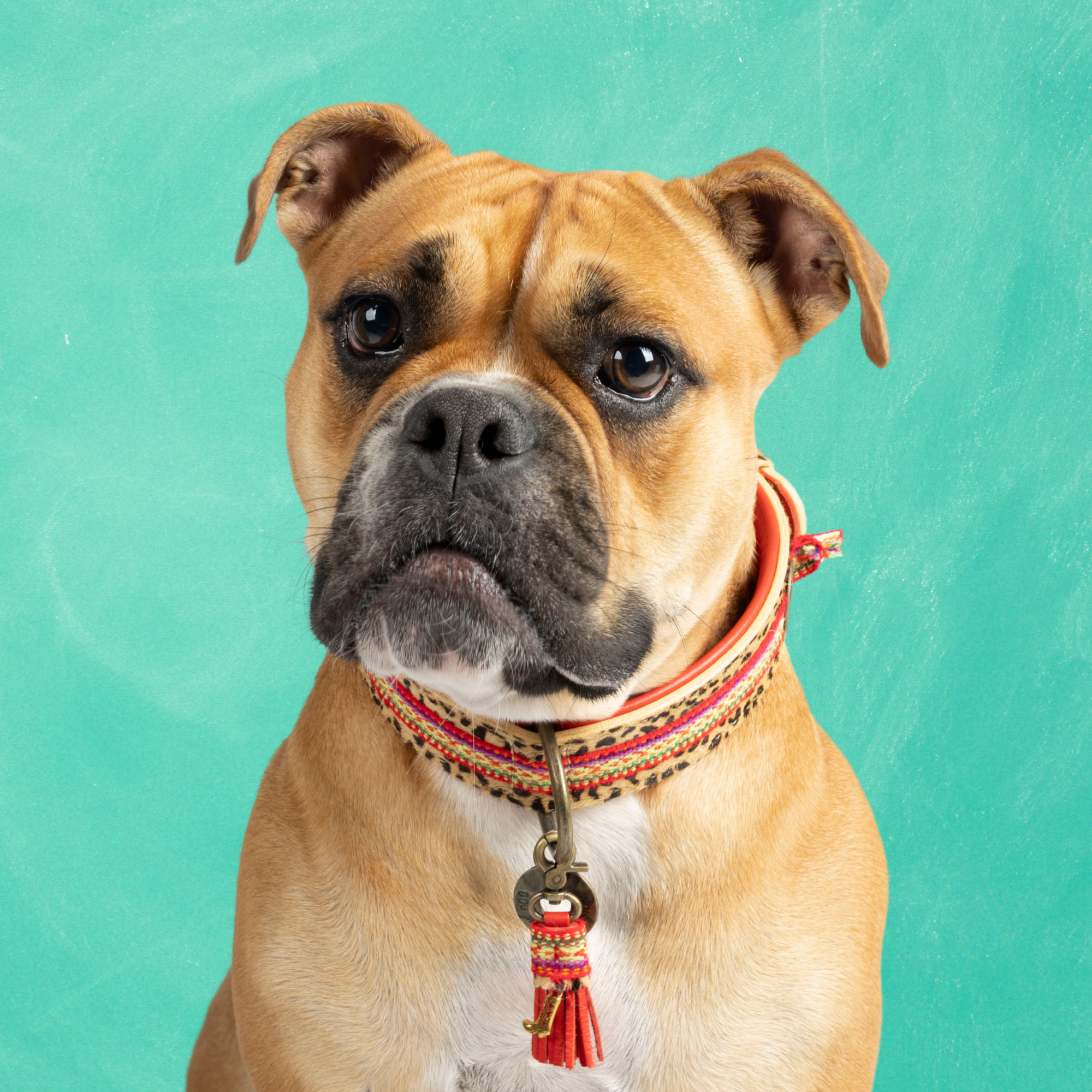 Rode leren hondenhalsband Gypsy L - Dog with a Mission bohemian panterprint grote honden