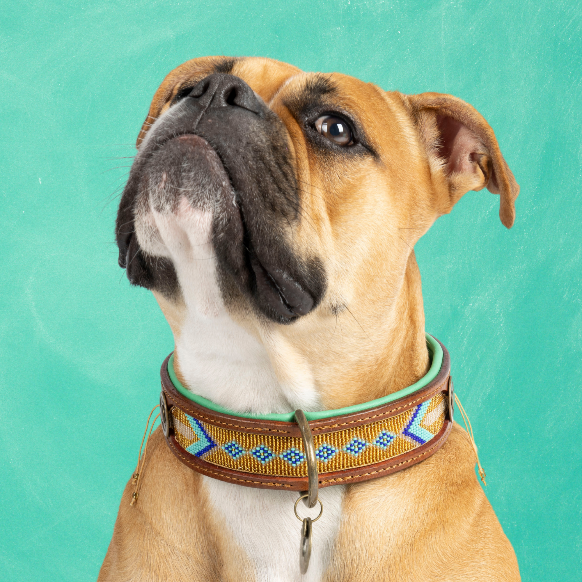 Beads Indi Moon Hondenhalsband L  (Halsomvang 38-47 cm / 4 cm)