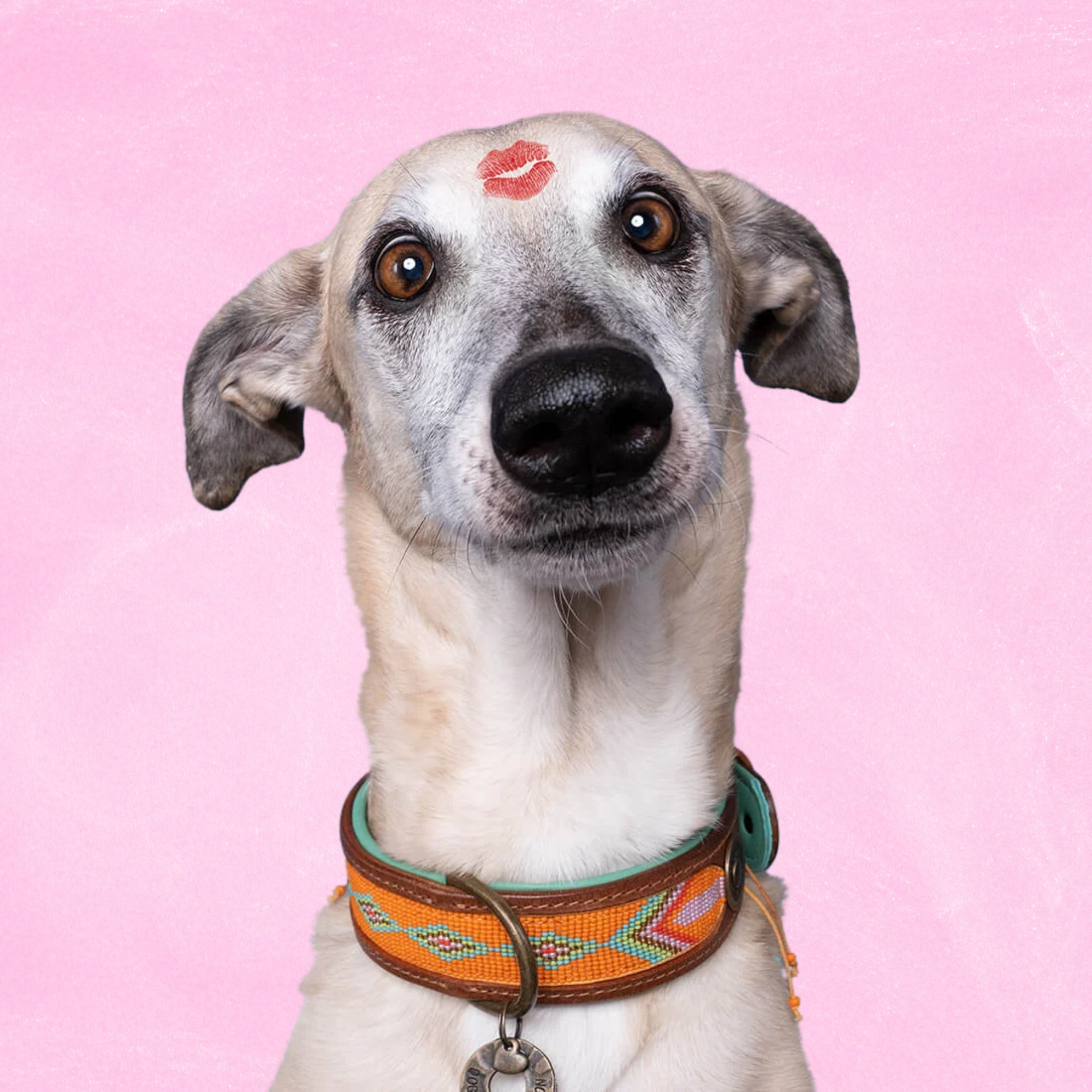 Beads  Tiger Lily Hondenhalsband L  (Halsomvang 38-47 cm / 4 cm)