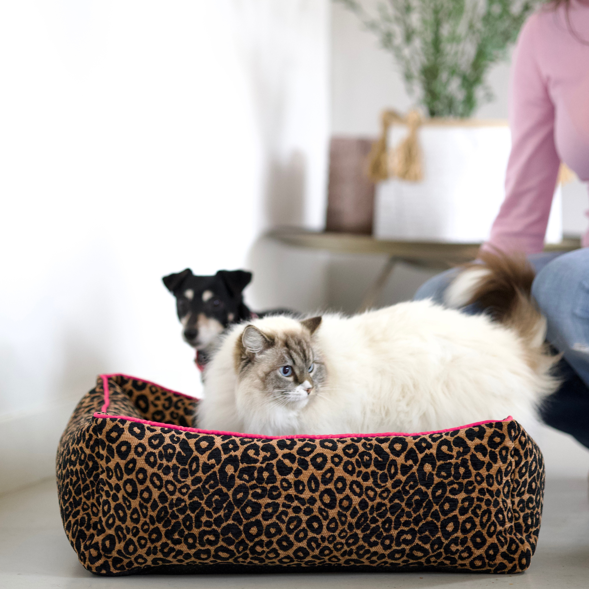 Lazy Leopard Dog Bed L (75x90cm / 90x100)