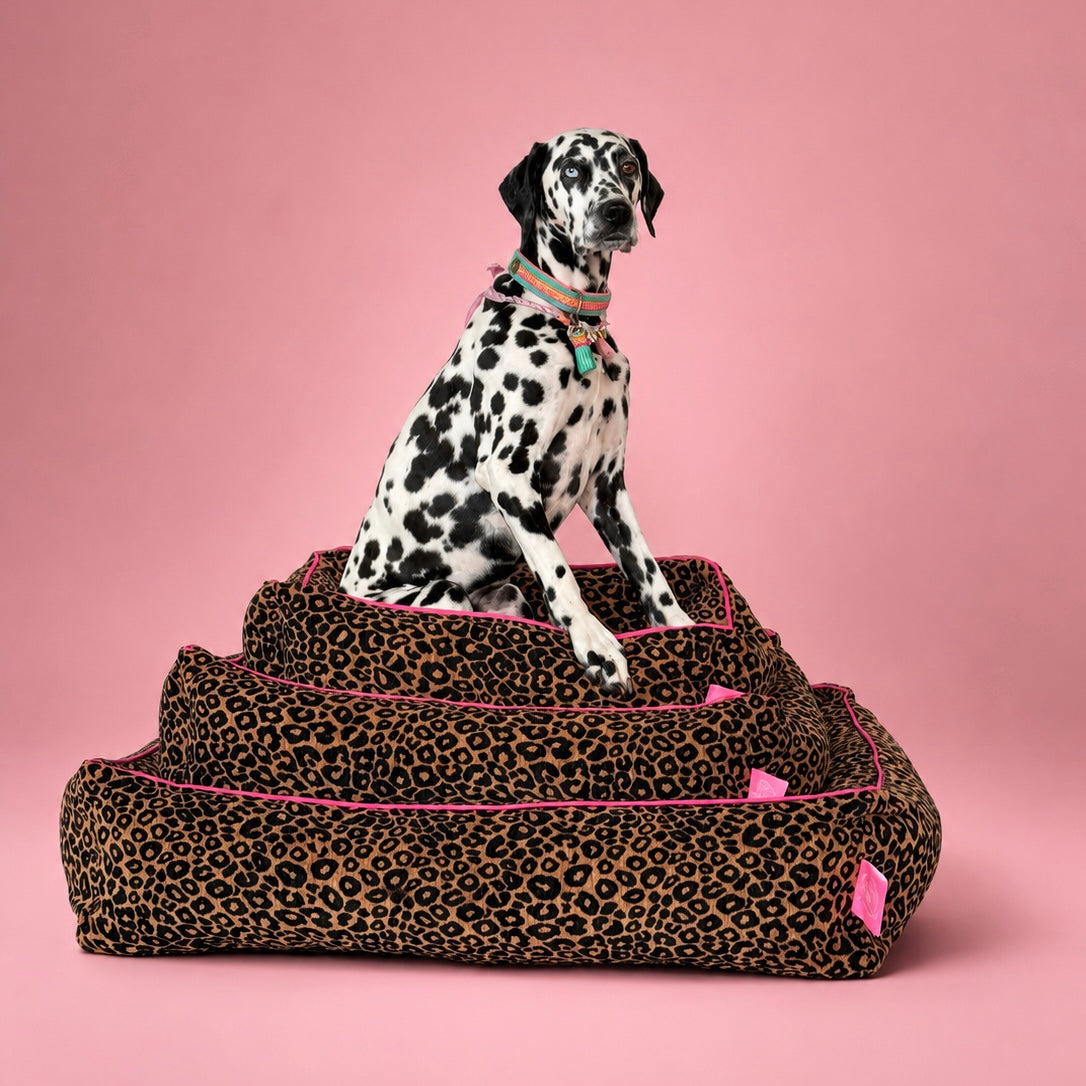 Lazy Leopard hondenmand maat S, M en L in luipaardprint velours met neon roze bies