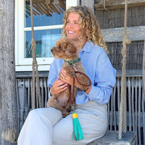 Kleine bruine hond Rover draagt een kleurrijke DWAM halsband en riem (maat S) met een opvallende turquoise tassel en messing details.