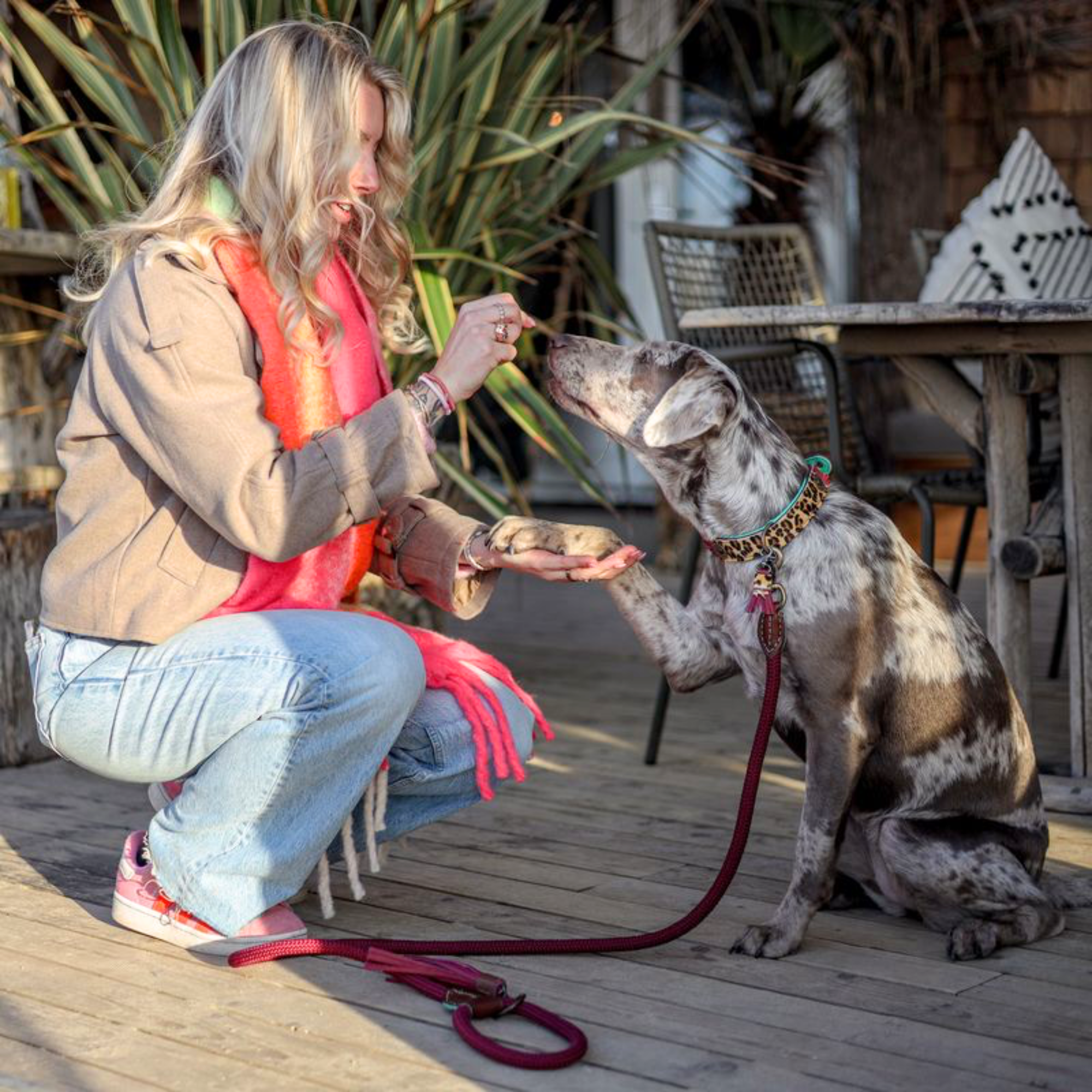 Lou Lou  Hundehalsband M (Halsumfang 32-39 cm / 2,5 cm)