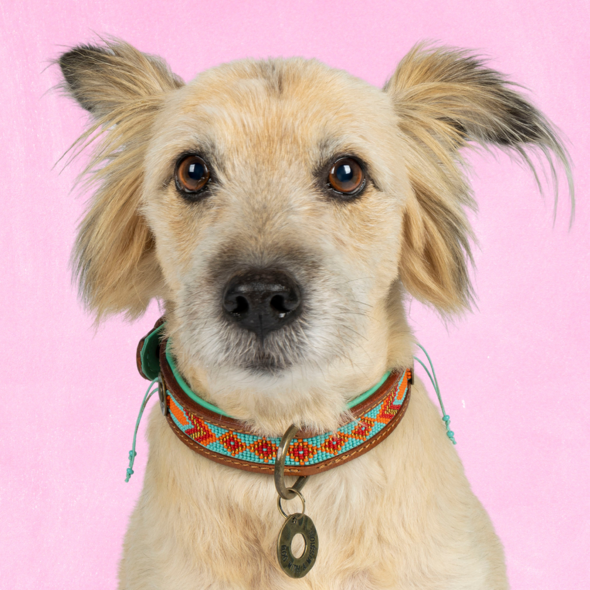 Dog with a Mission - Paddy Lee Dog collar with beads