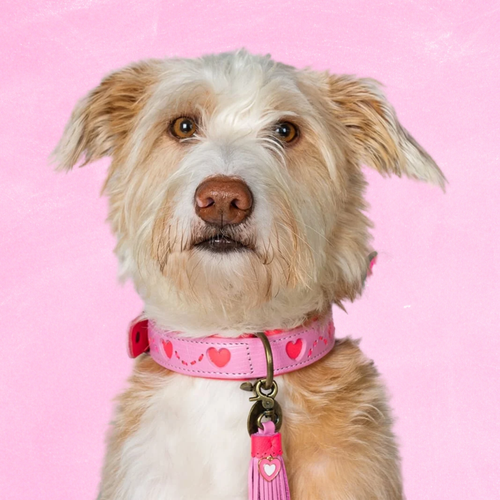 Roze leren hondenhalsband Sweety met hartjesprint maat M - Dog with a Mission.
