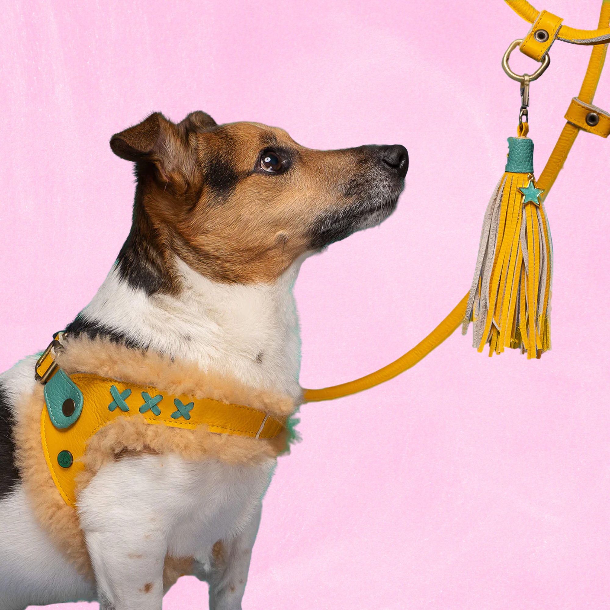 Mokum Gelbes Hundegeschirr Größe  6 (45-50 cm)