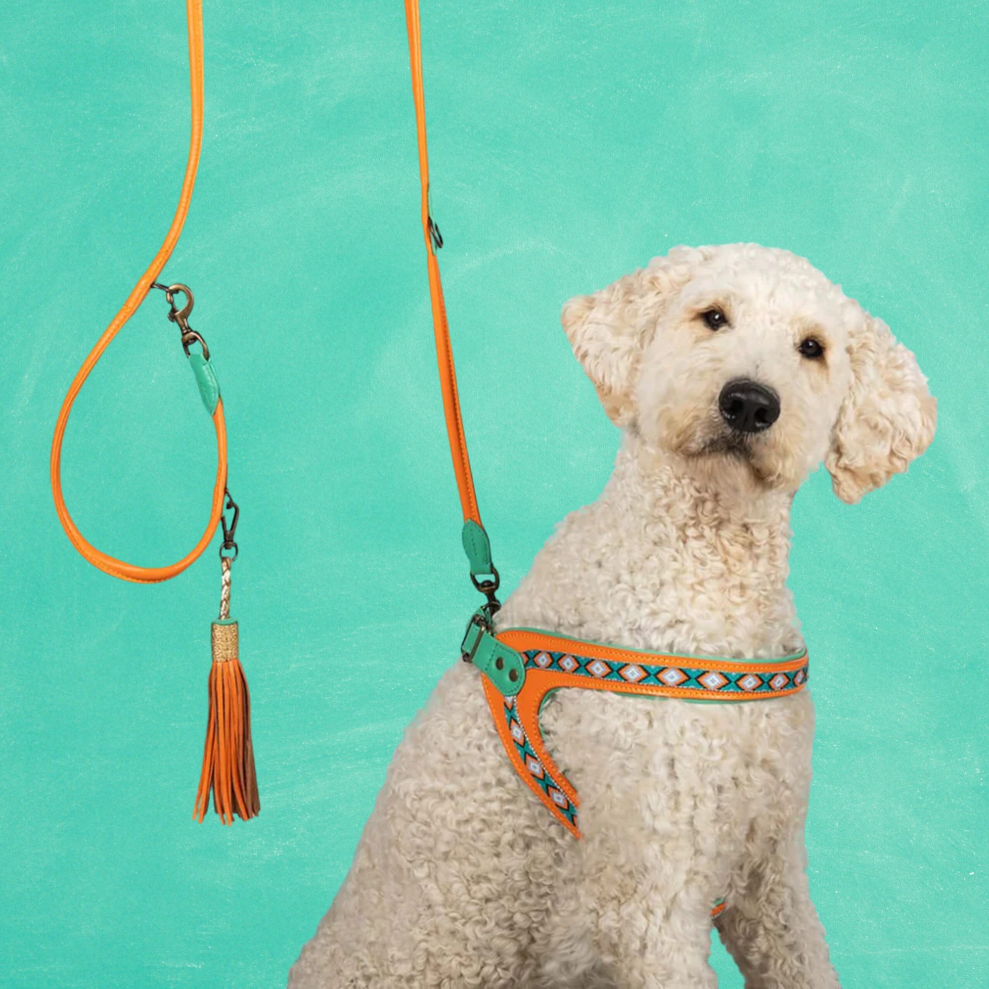 Morgan Hondentuigje Maat 1 (27-29 cm)