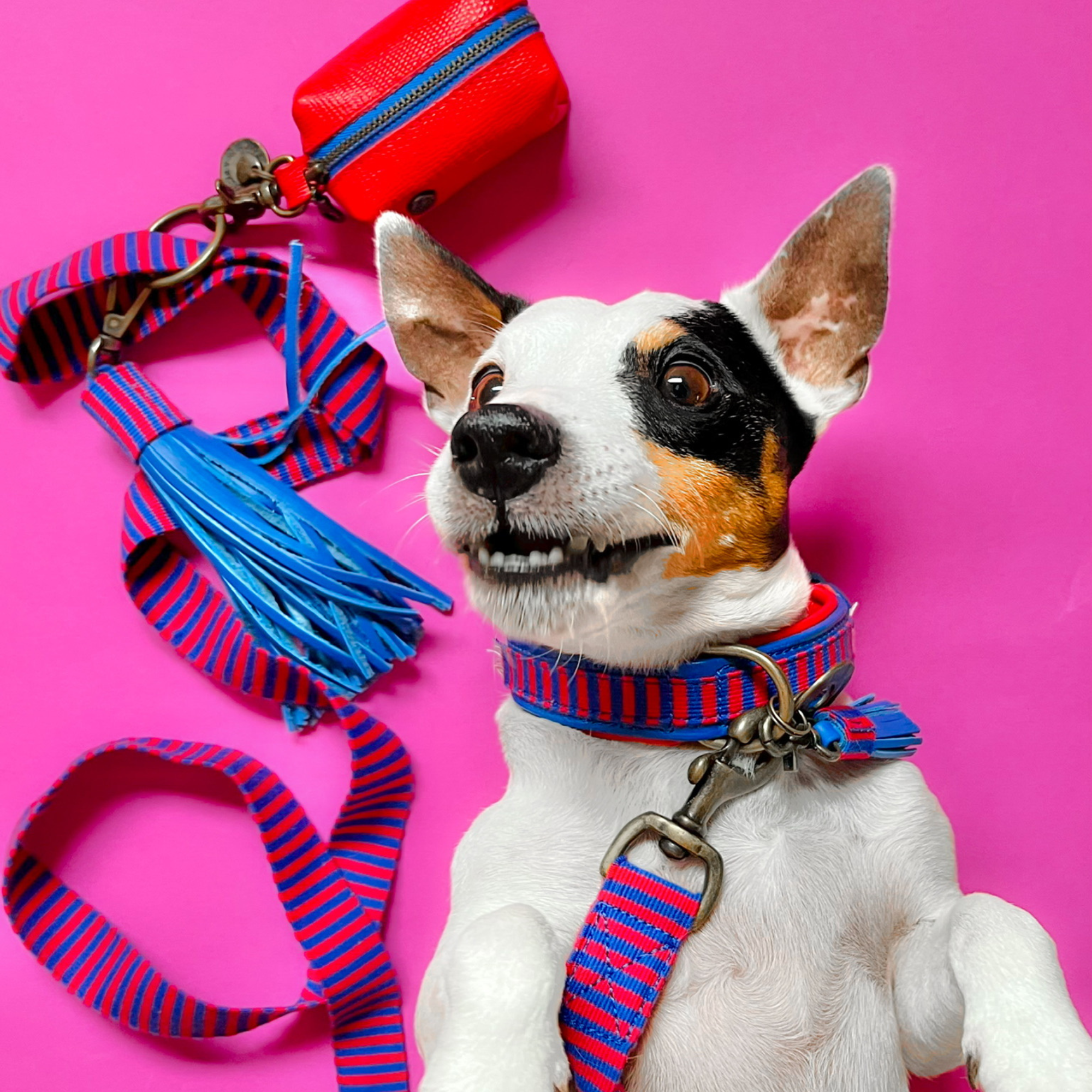 Mr Clooney Hondenriem S (155 cm X 1 cm)