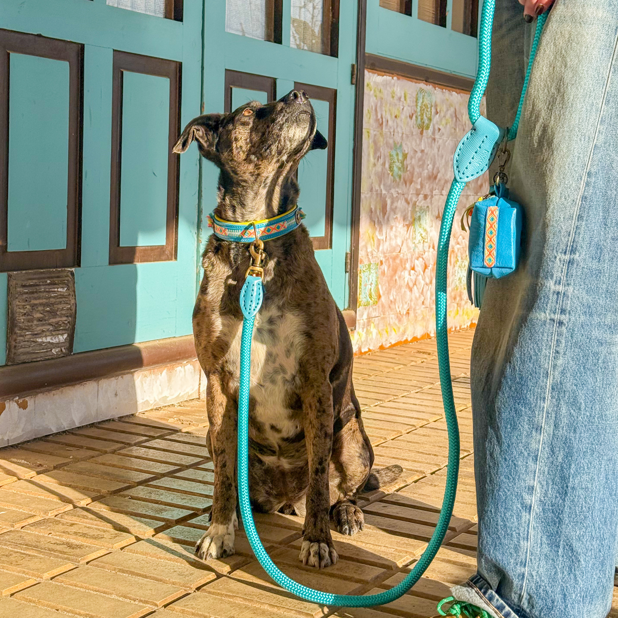 Classic Pacific Dog Leash L (155 cm X 1.4 cm)