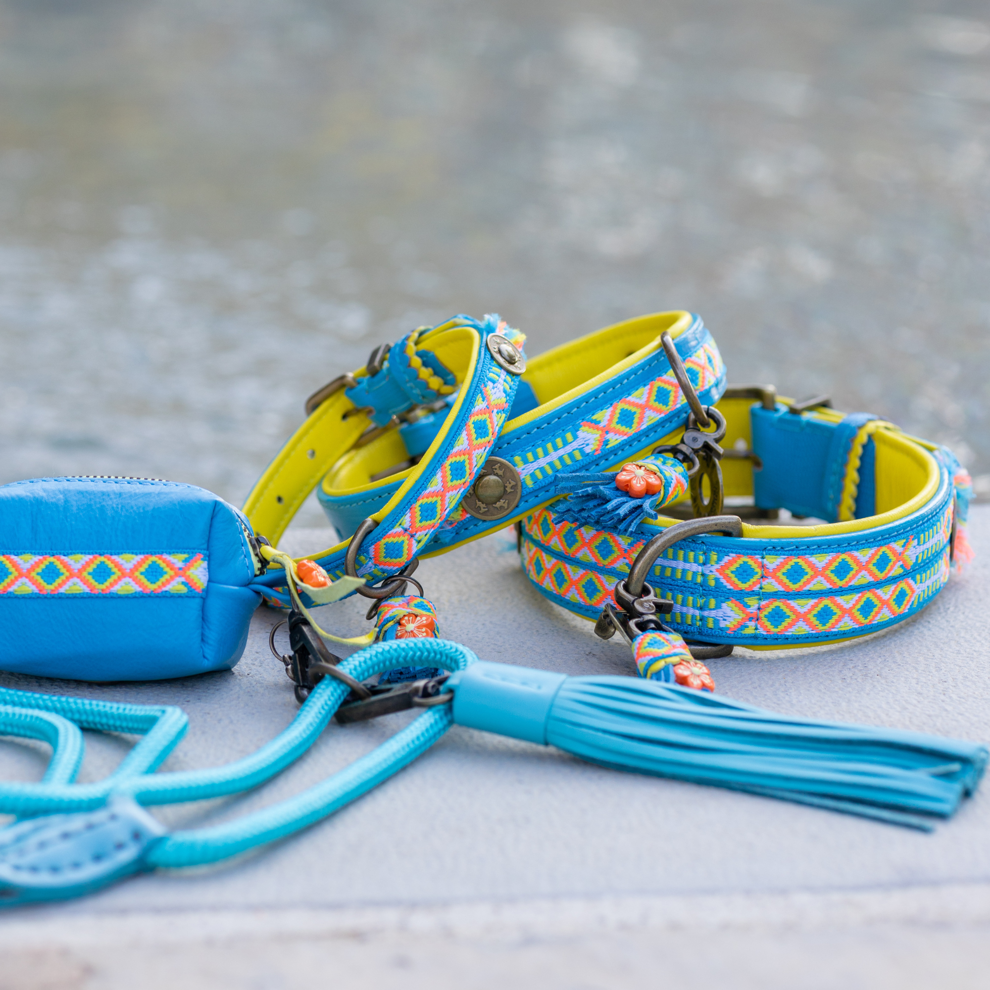 Classic Pacific Dog Leash L (155 cm X 1.4 cm)