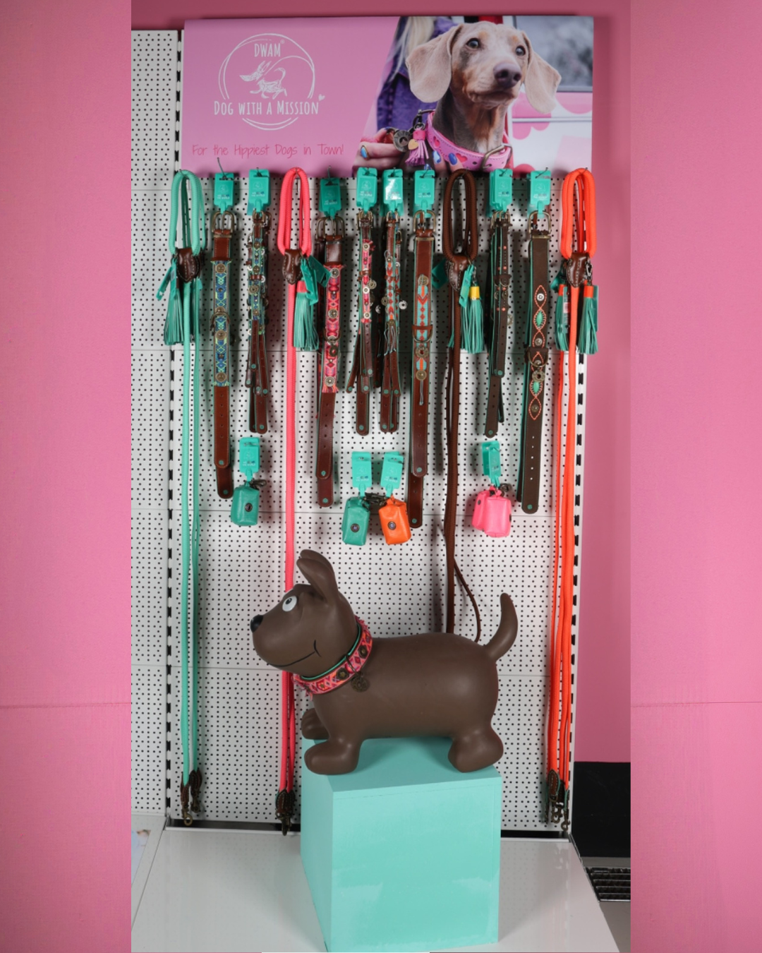 2 - The Signature DWAM Bundle