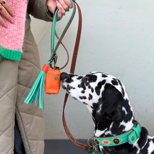 Poepzakjeshouder Buddy