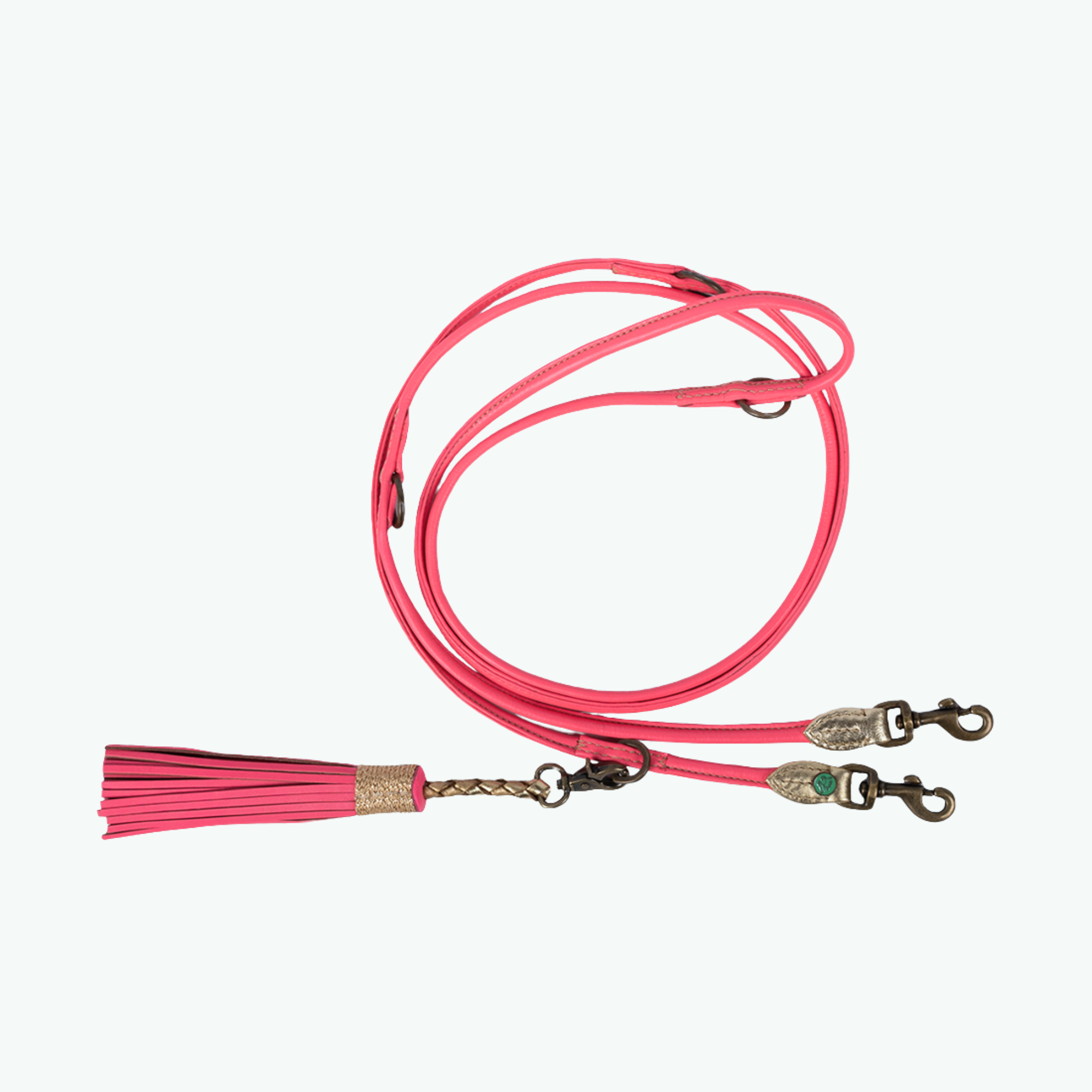 Extra Lang Pretty Pink Hondenriem  XXS