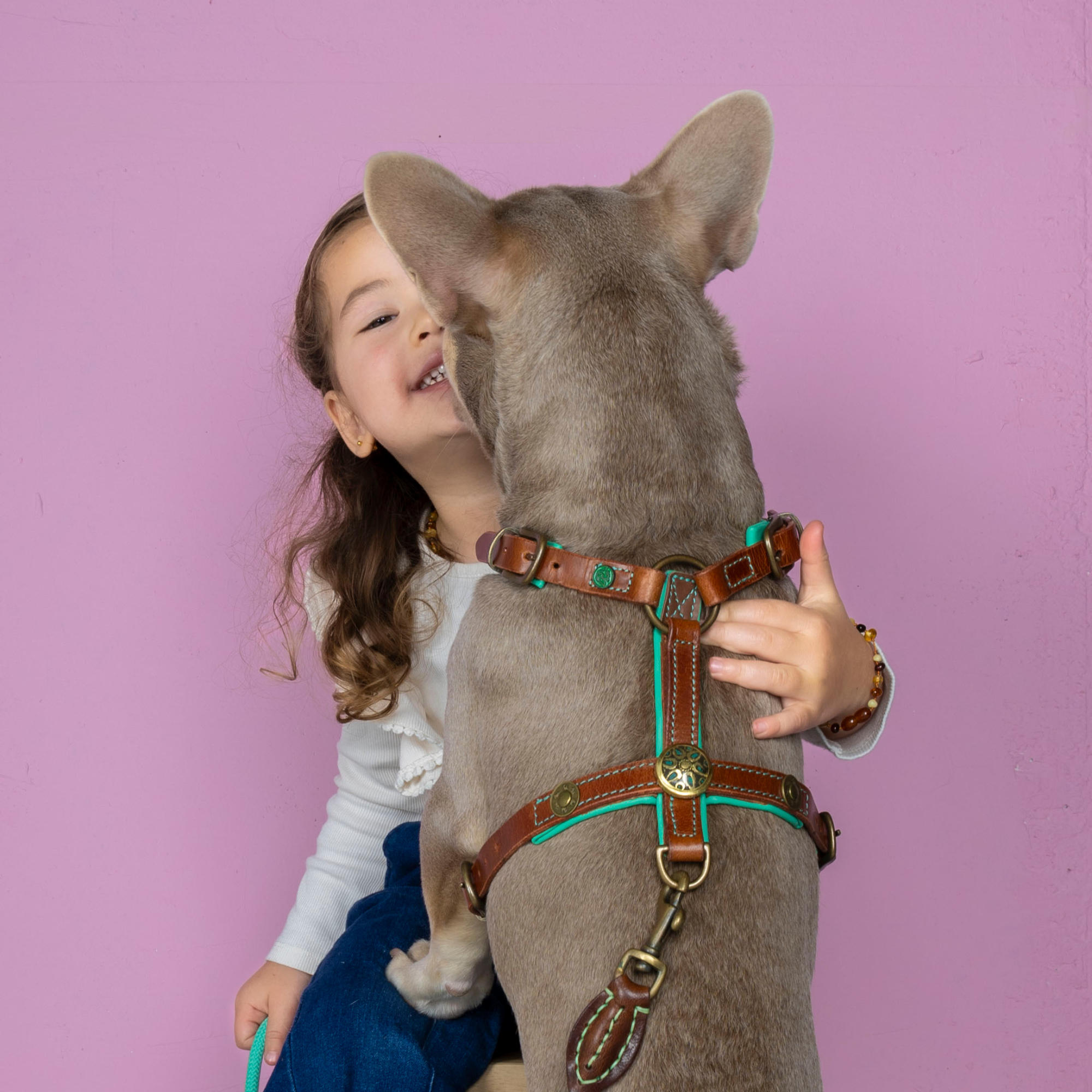 Rock Hundegeschirr M (62-74 cm)