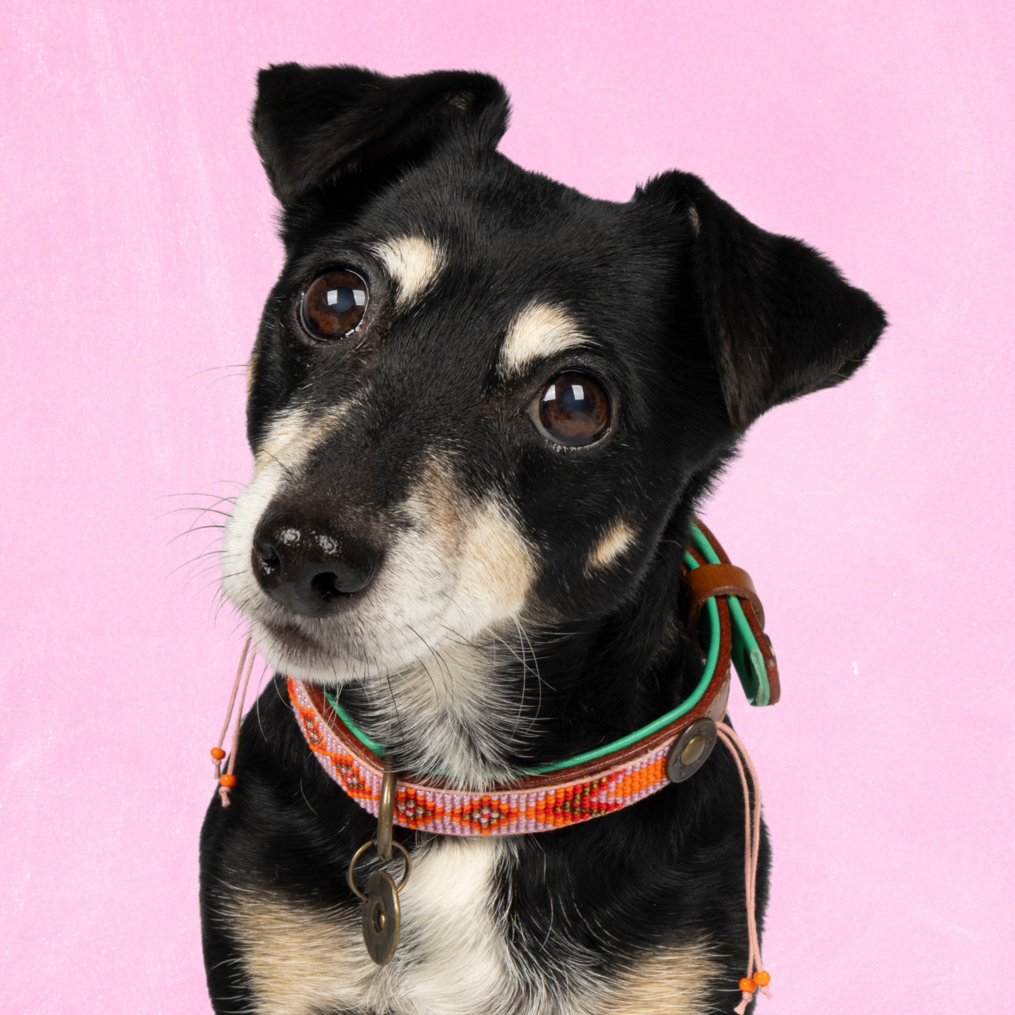 Beads Sweet Mae Hondenhalsband S (Halsomvang 27-33 cm / 2 cm)