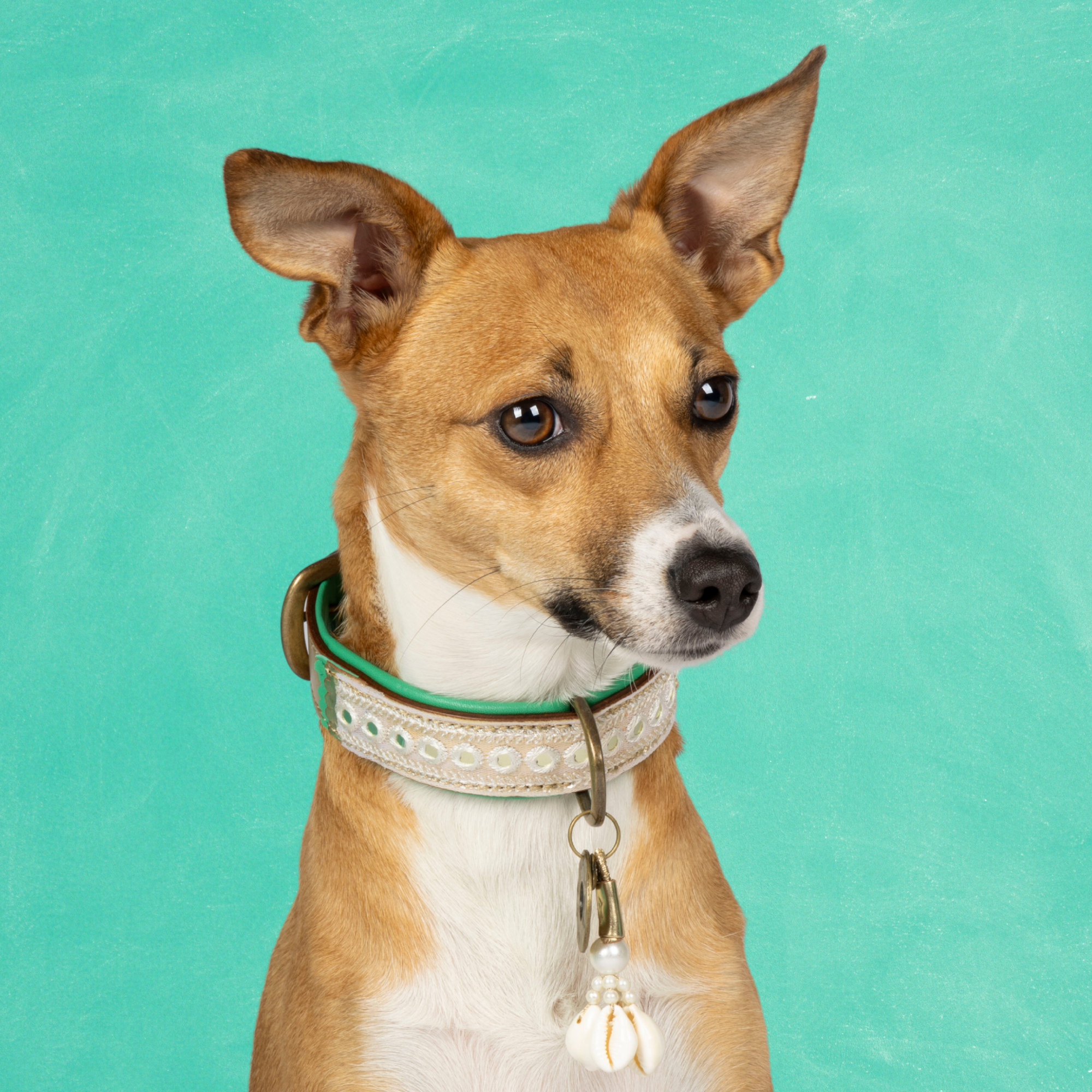 Love Story Hondenhalsband S (Halsomvang  27-33 cm / 2,5 cm)