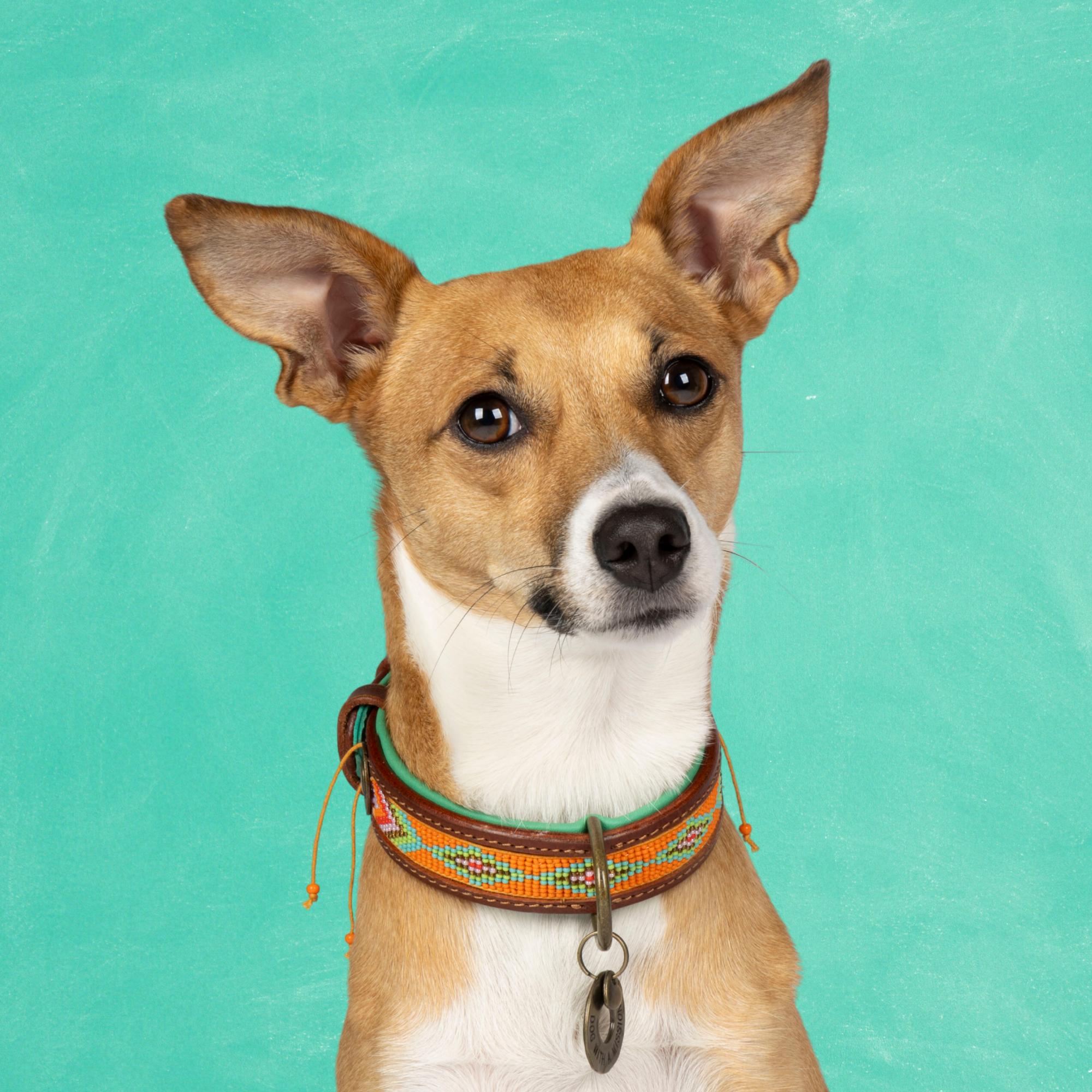 Beads  Tiger Lily Hondenhalsband S (Halsomvang 27-33 cm / 2,5 cm)