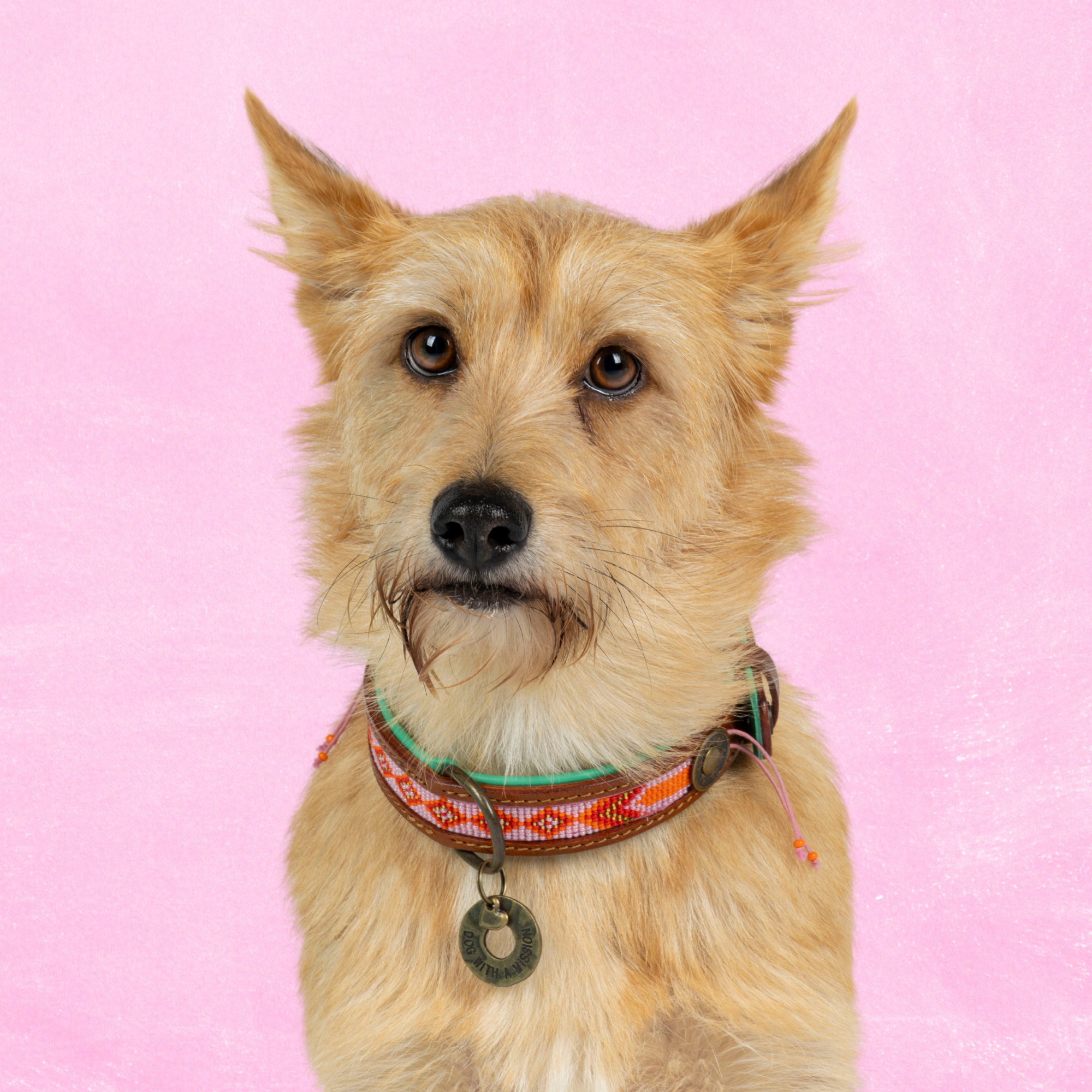 Beads Sweet Mae Hundehalsband S (Halsumfang 27-33 cm / 2,5 cm)