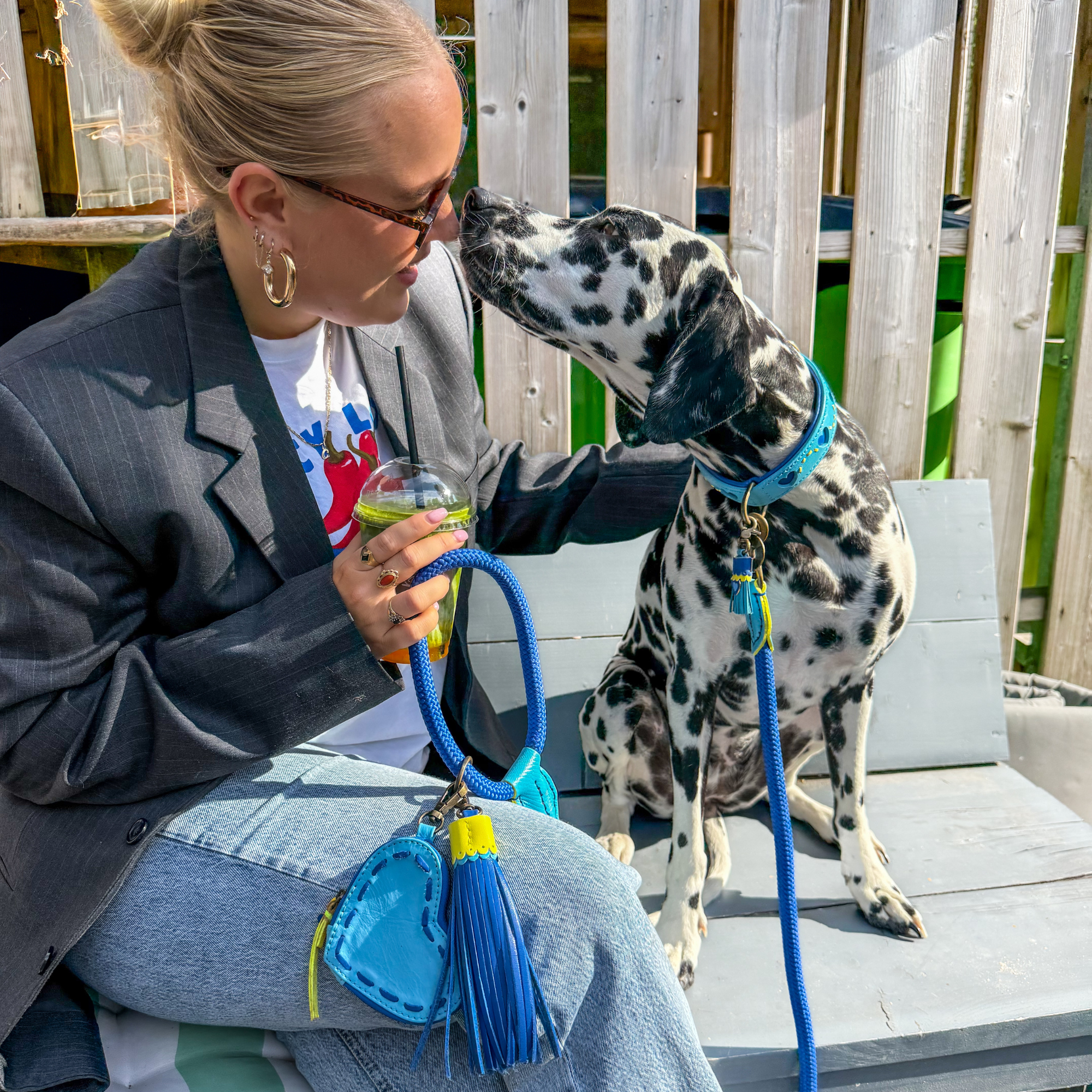 Sky Hundehalsband M (Halsumfang  32-39 cm / 2,5 cm)