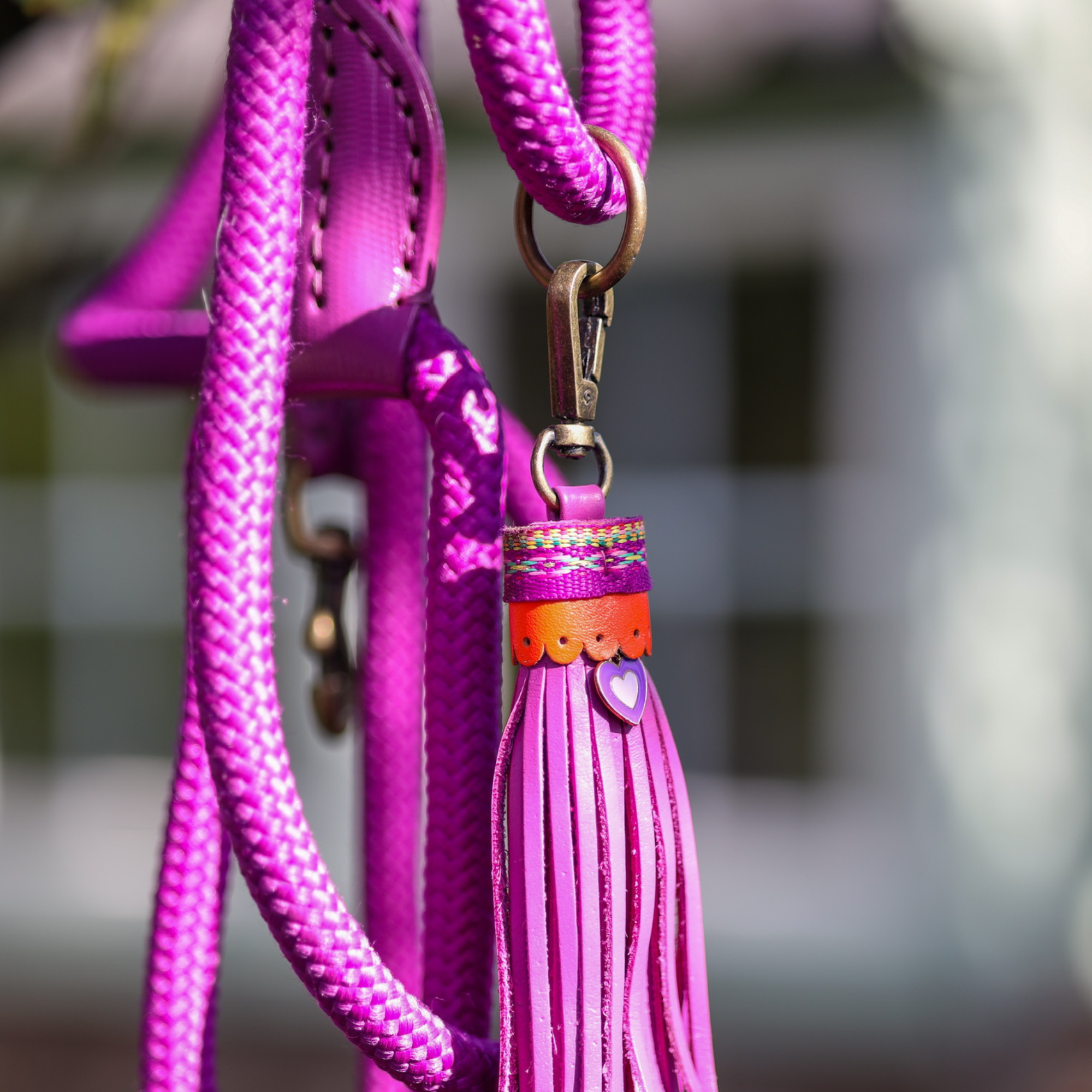 Classic Spice Hondenriem S (155 X 1 cm)