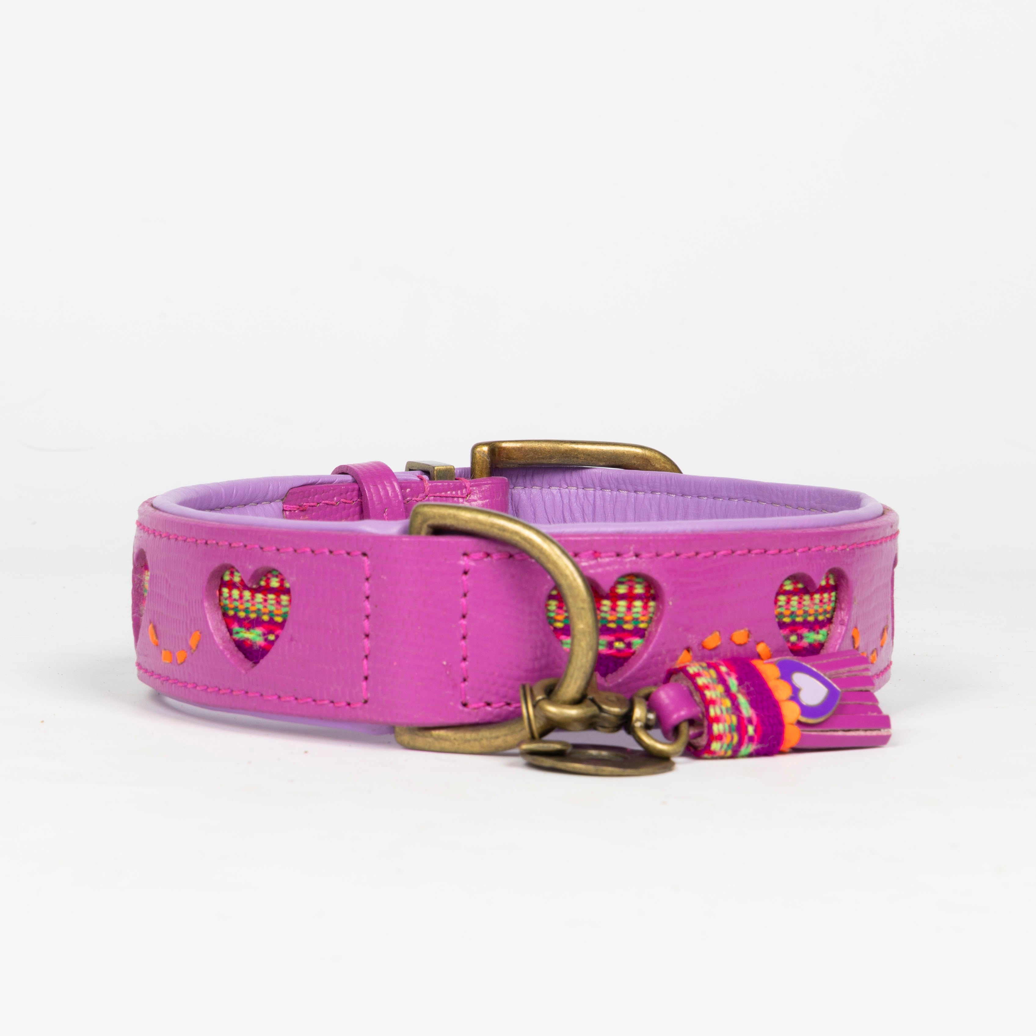 Spice Hundehalsband L (Halsumfang  38-47 cm / 4 cm)