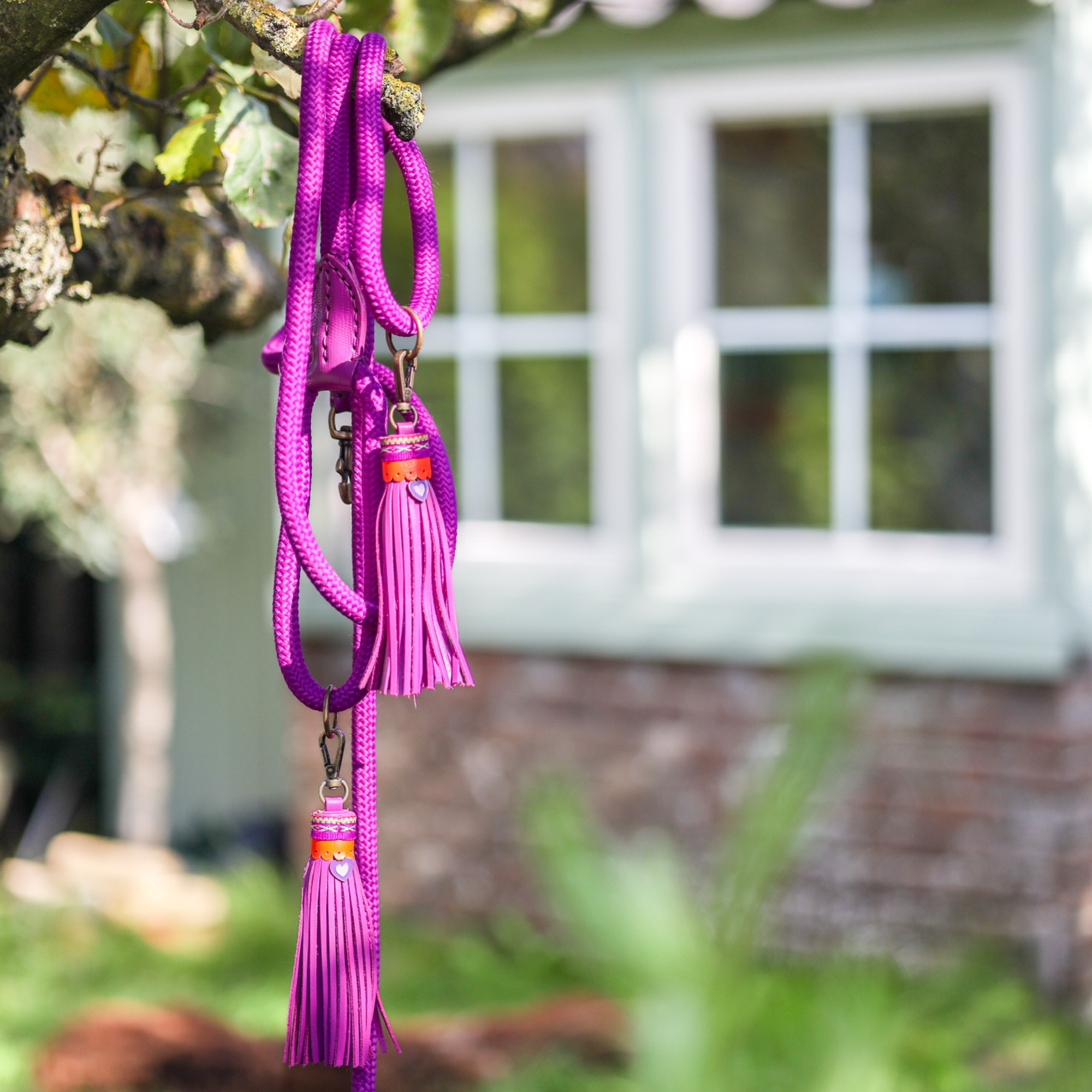 Classic Spice Hondenriem S (155 X 1 cm)