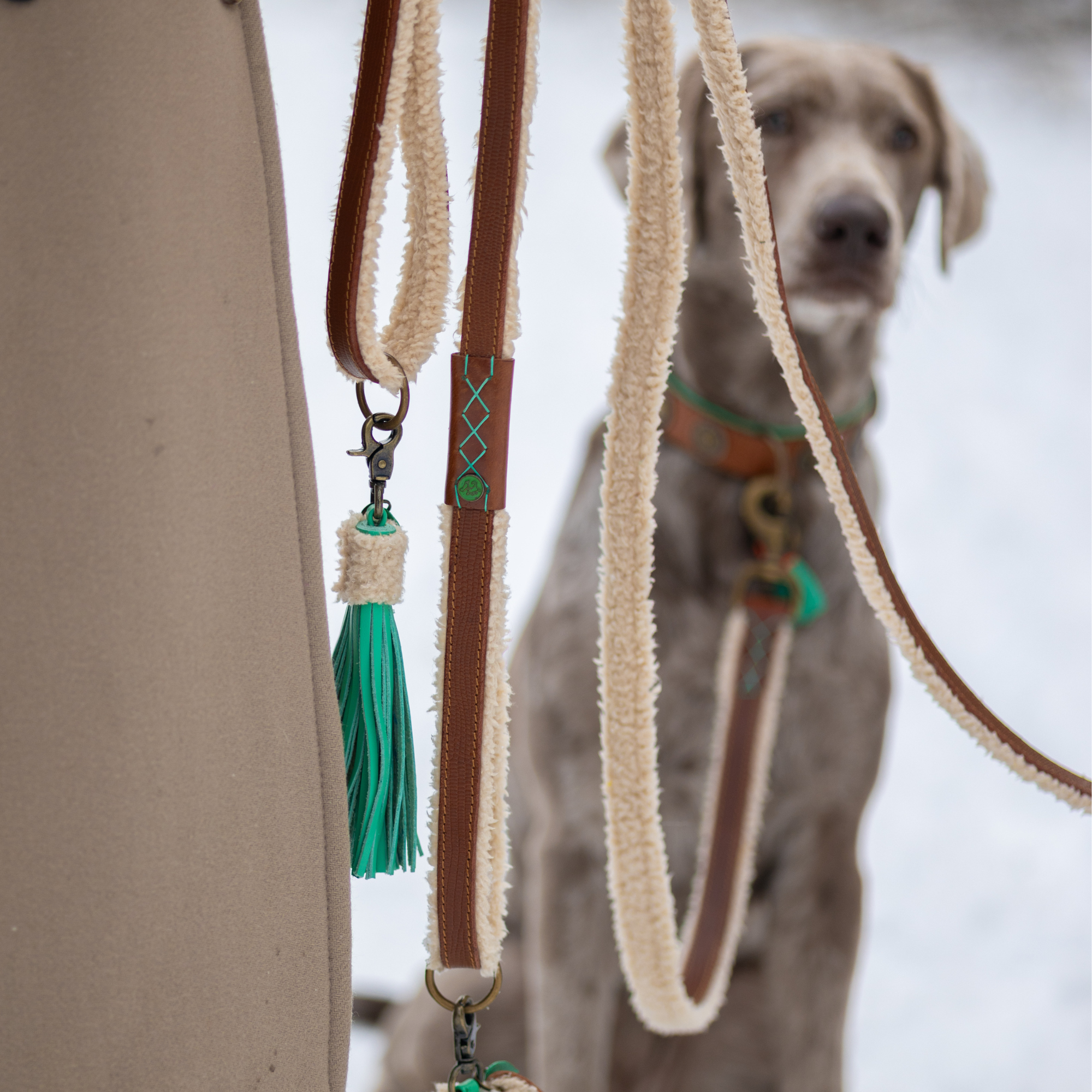 Teddy Hundeleine  L (135 cm X 2,5 cm)