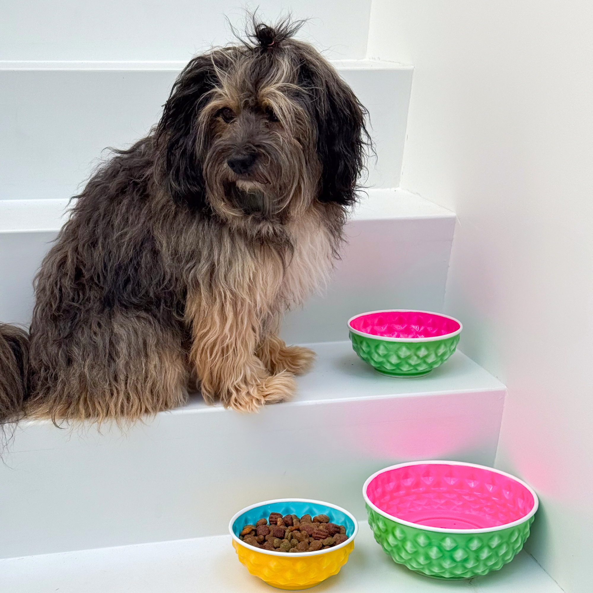 Lemon & Lime Eet-En Drinkbakje S ( 16 cm X 7 cm)