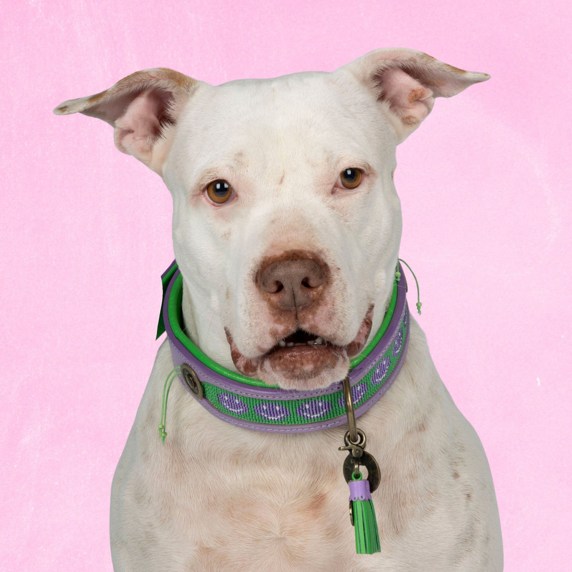 Trendy lila Hondenhalsband met Kralen Smiley - Dog with a Mission, image size:1920x1920