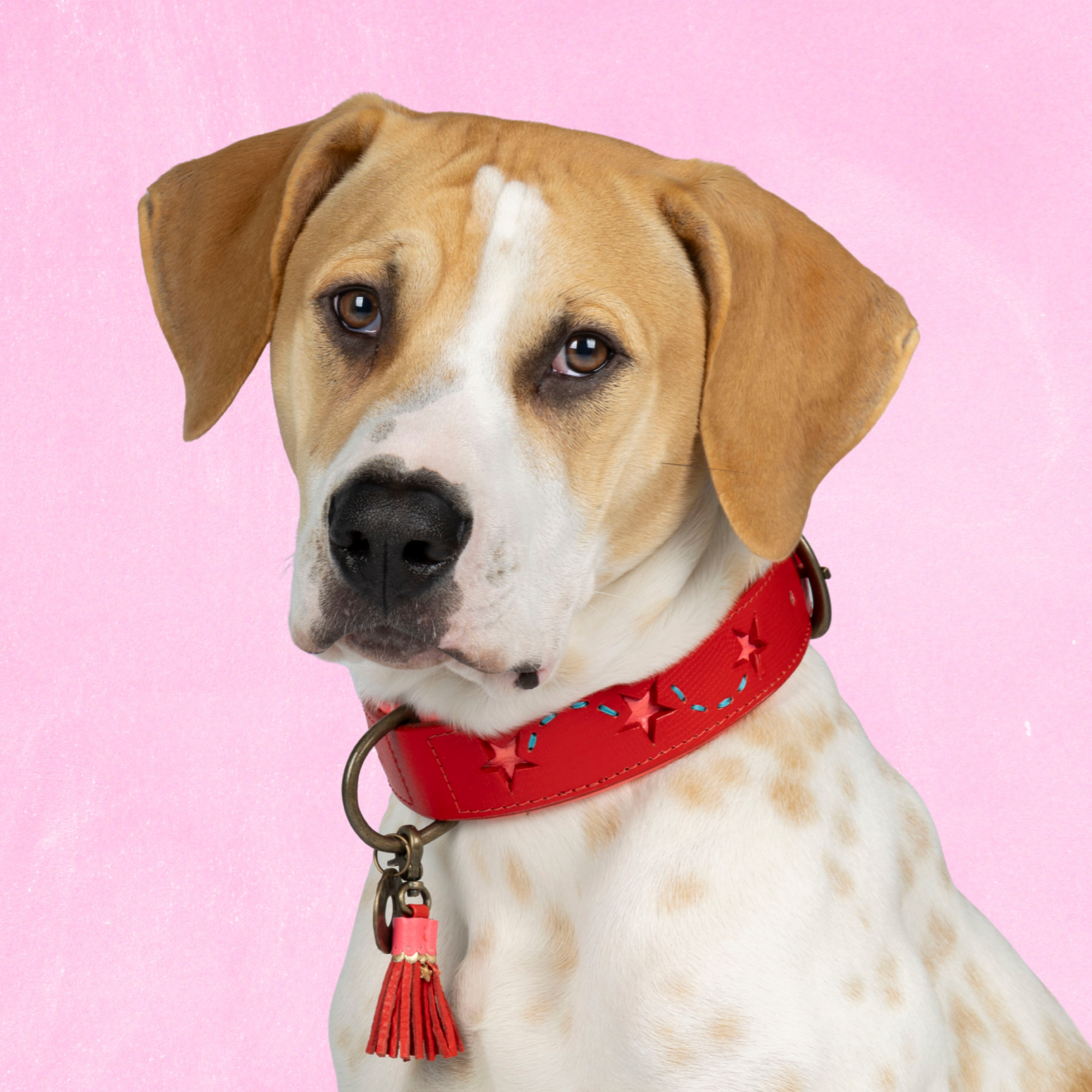 Leren hondenhalsband in roze met uitgesneden sterren en rood kwastje van Dog with a Mission