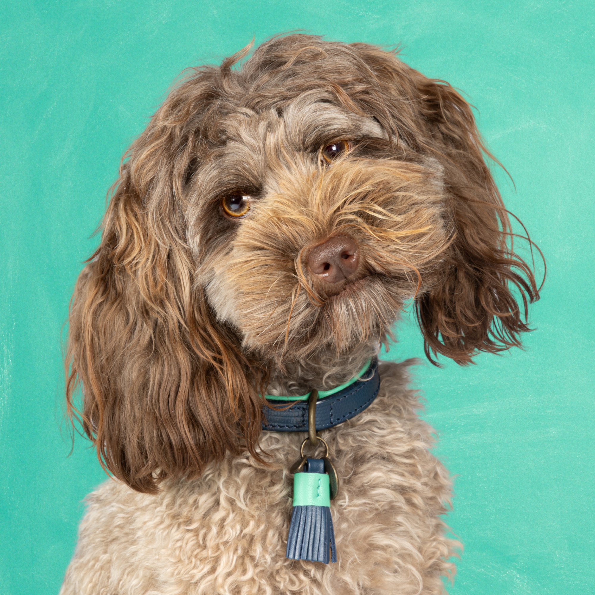 Leren hondenhalsband in donkerblauw met turquoise details en kwastje van Dog with a Mission