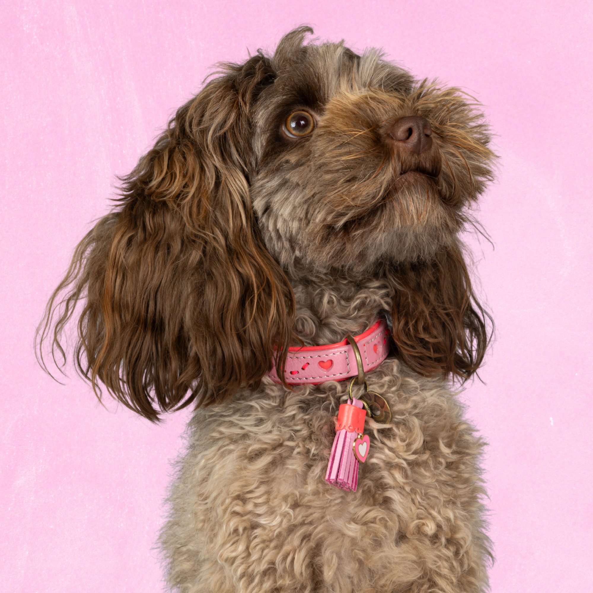 Leren hondenhalsband in roze met hartjes en roze kwastje van Dog with a Mission
