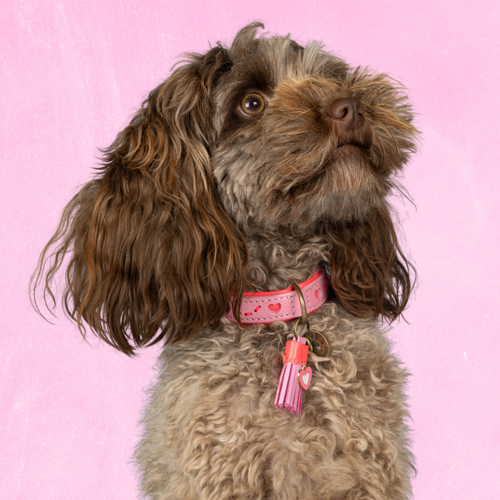 Leren hondenhalsband in roze met hartjes en roze kwastje van Dog with a Mission
