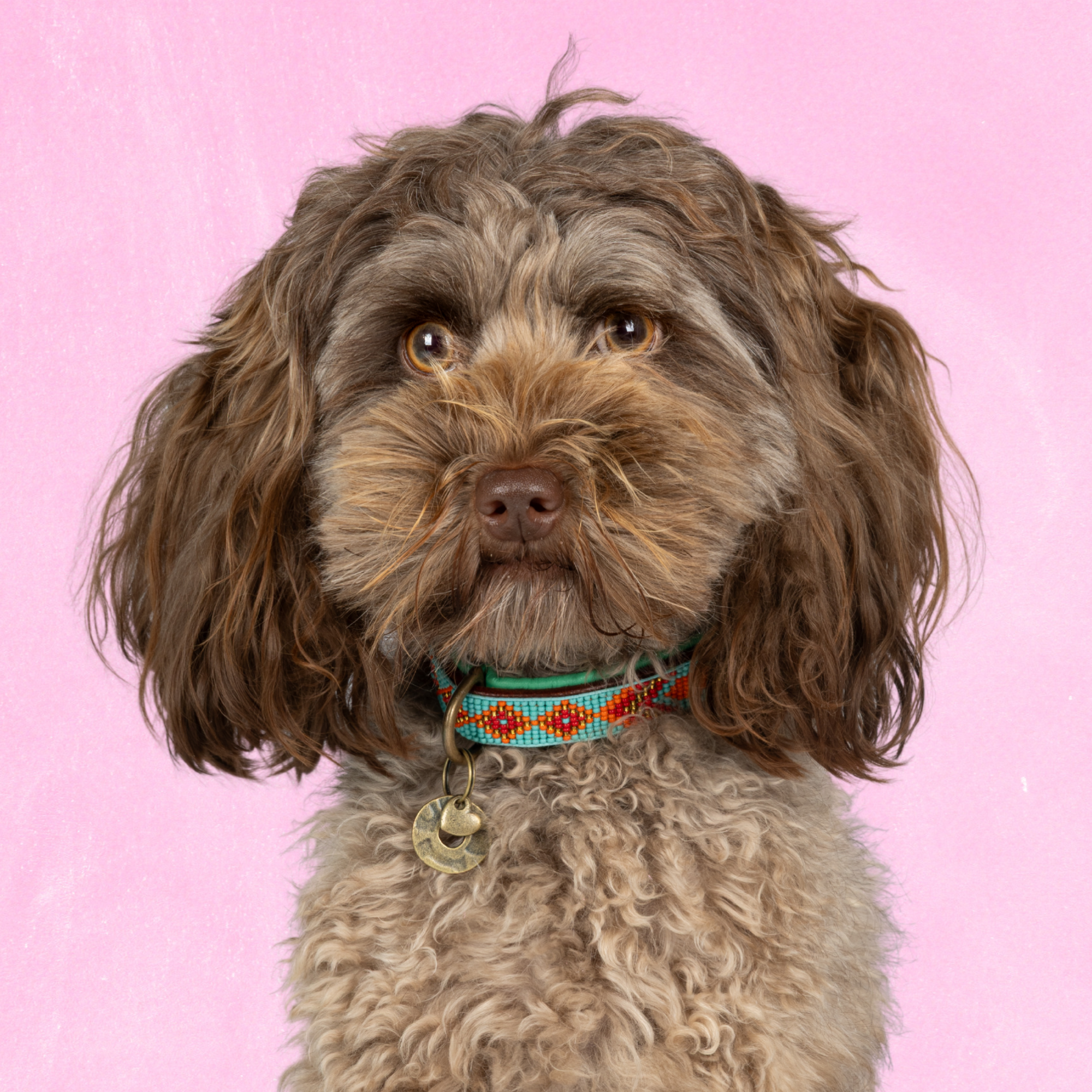 Leren hondenhalsband in turquoise met oranje details van Dog with a Mission